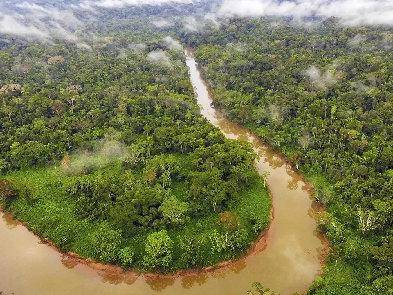 Aerial view of the Yasuni basin in the Amazon, Ecuador