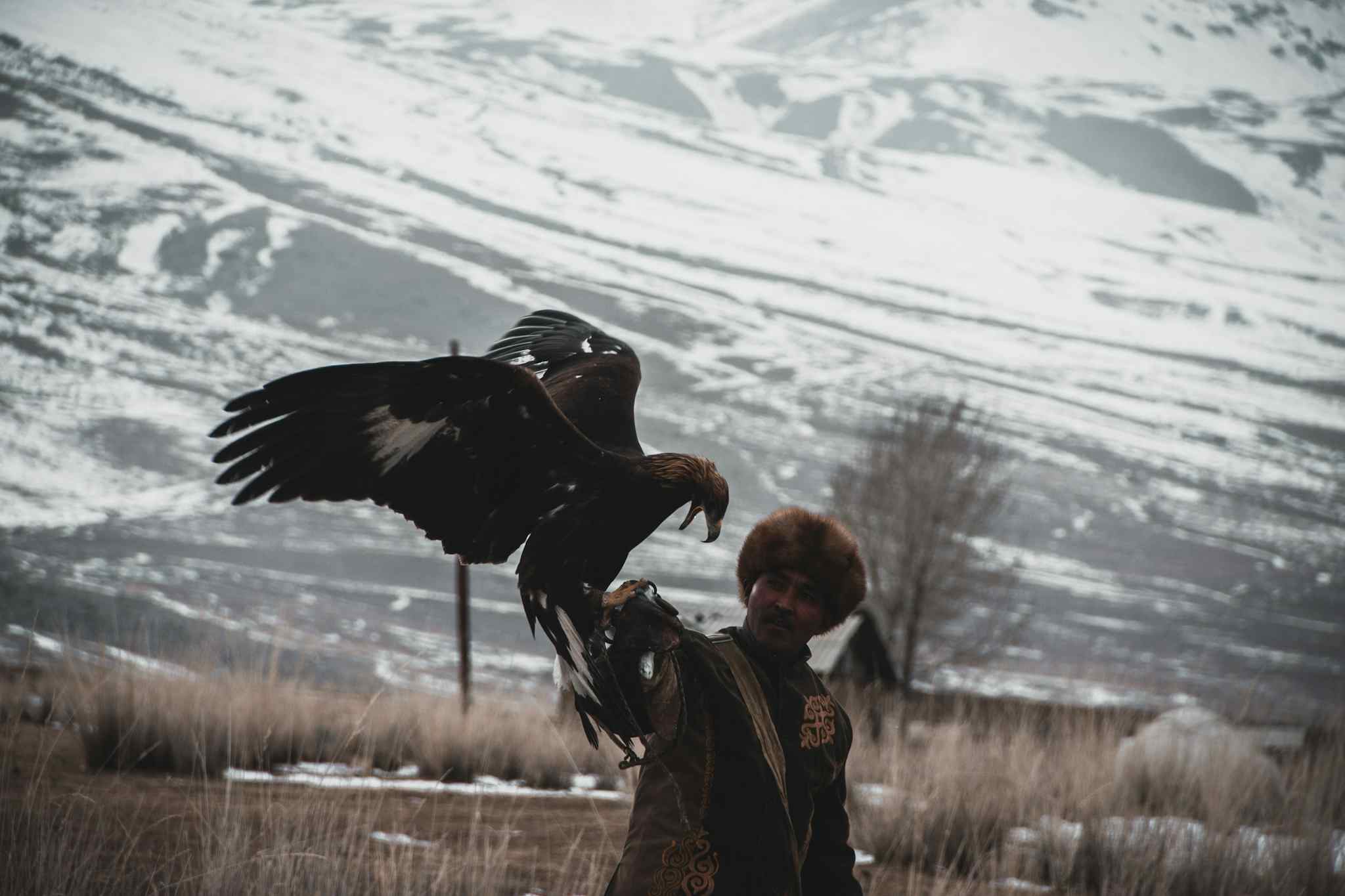 Traditional Kyrgyz Eagle hunter with an eagle perched on his arm