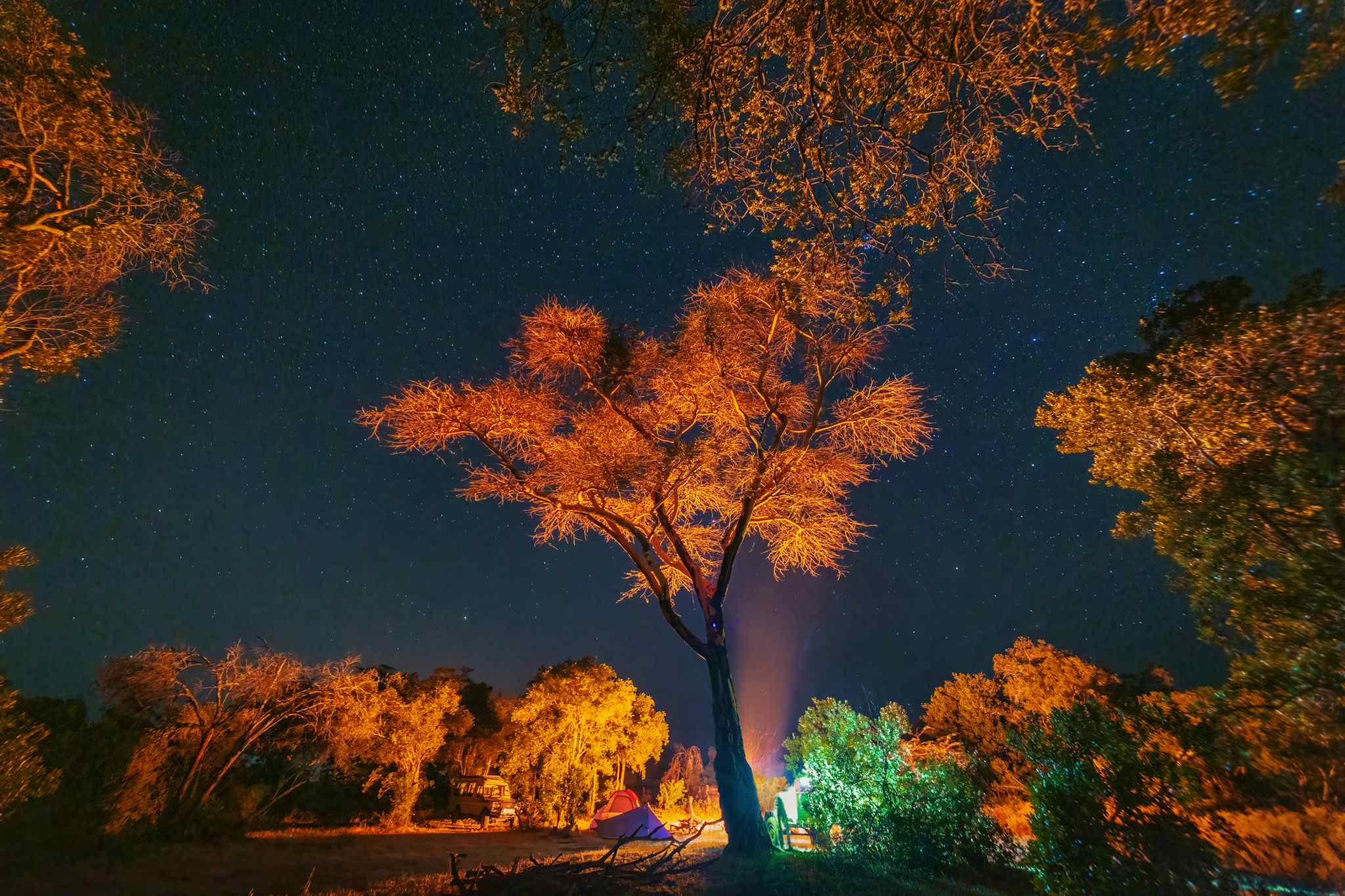Wild camping at night in the African bush, Kenya