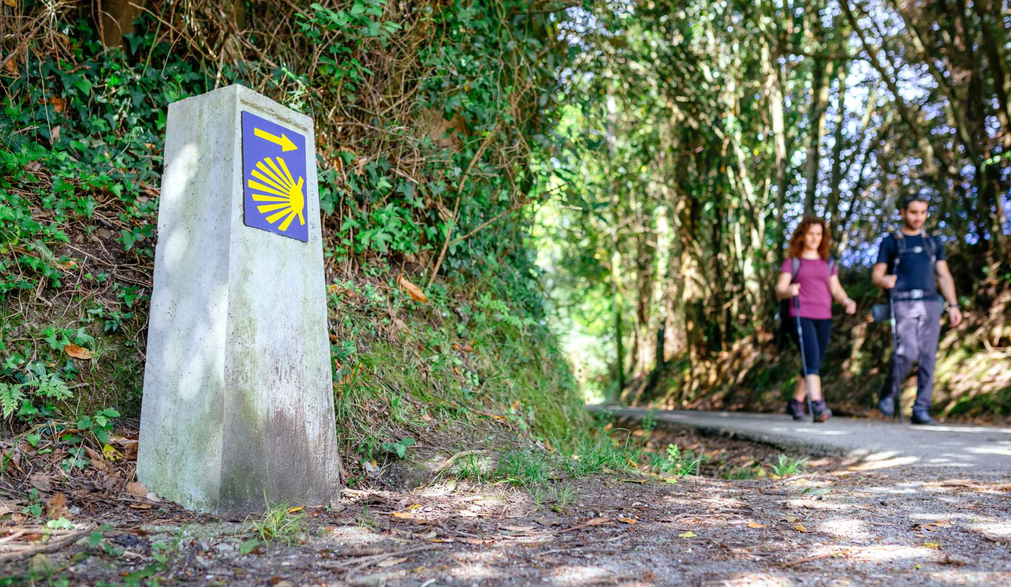 Hikers on a section of the long distance hiking trail, Camino de Santiago, Spain. 