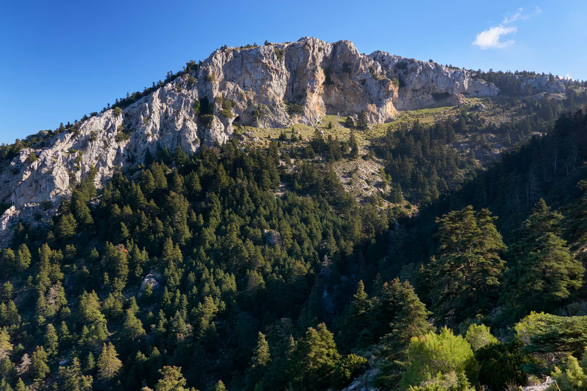 Pinsapar Trail, Andalucia, Spain