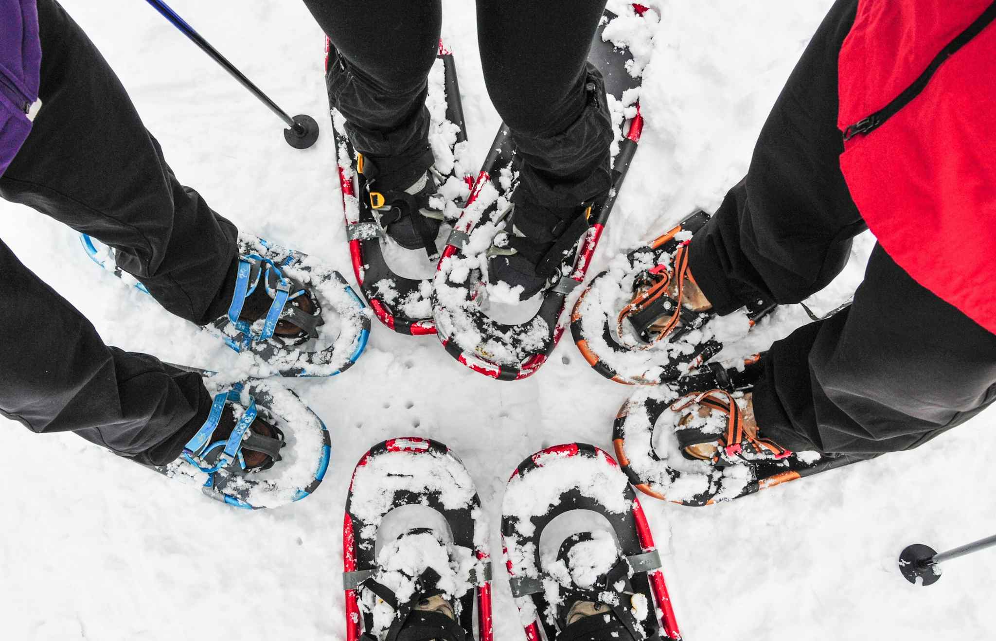 Four snowshoers standing in a circle