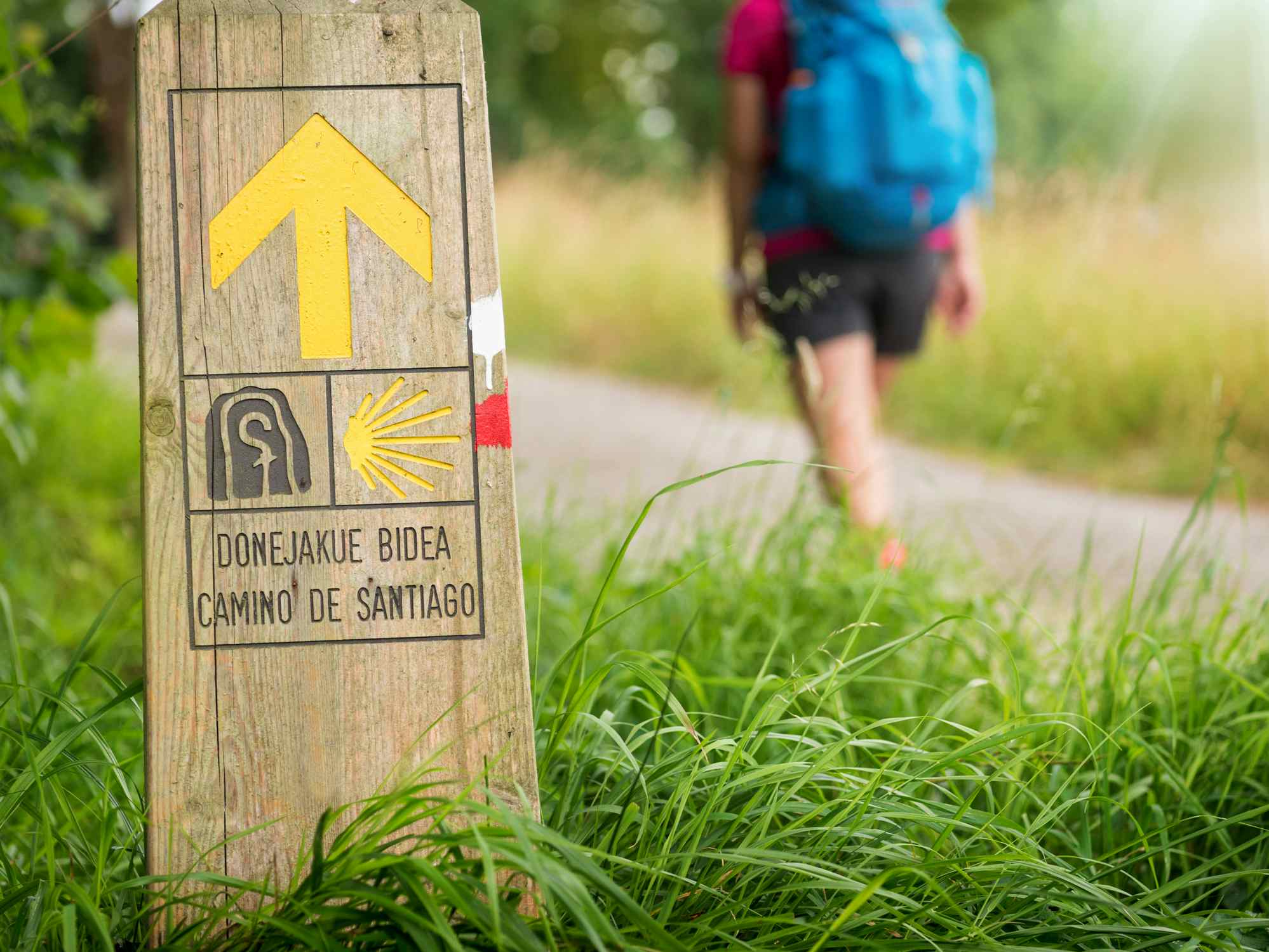 Hiker past the famous signposts of the Camino de Santiago, Spain. 