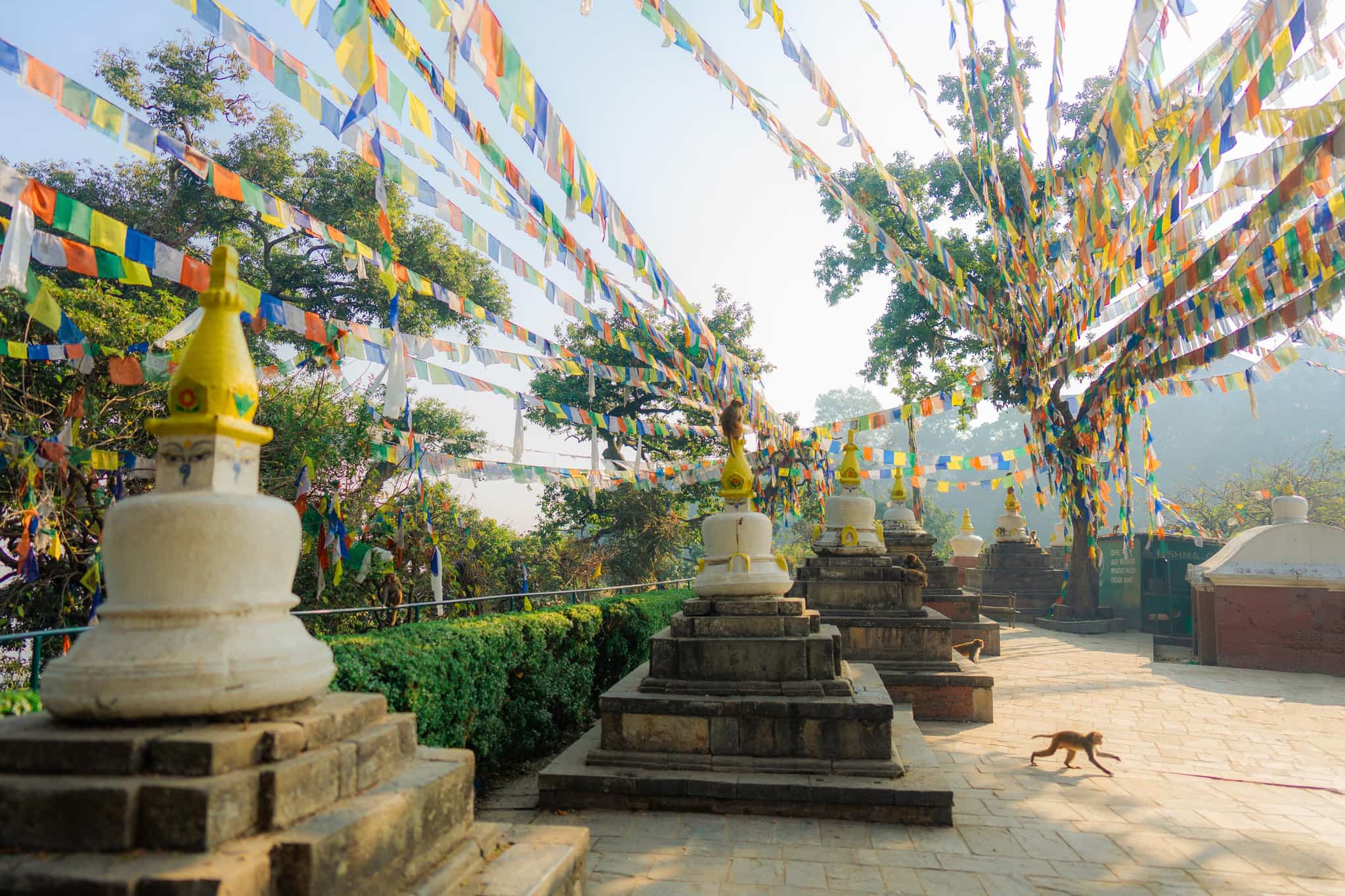 Monkeys playing on the Buddhist Stupas in Ktahmandu