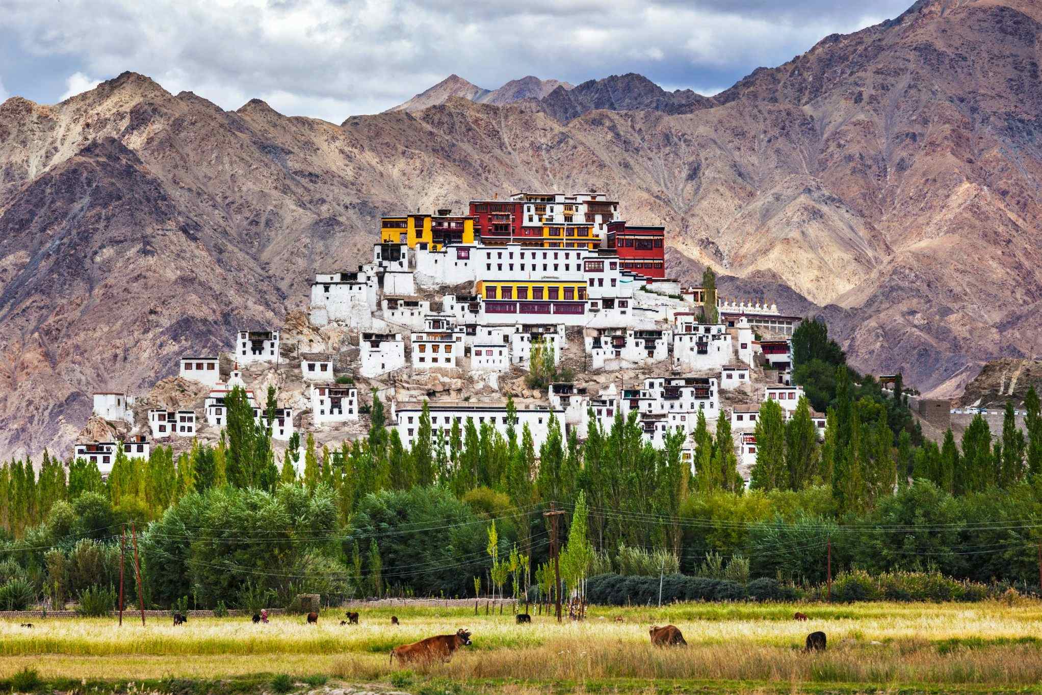 Thiksey Monastery on a hilltop above Leh in Ladakh, India.