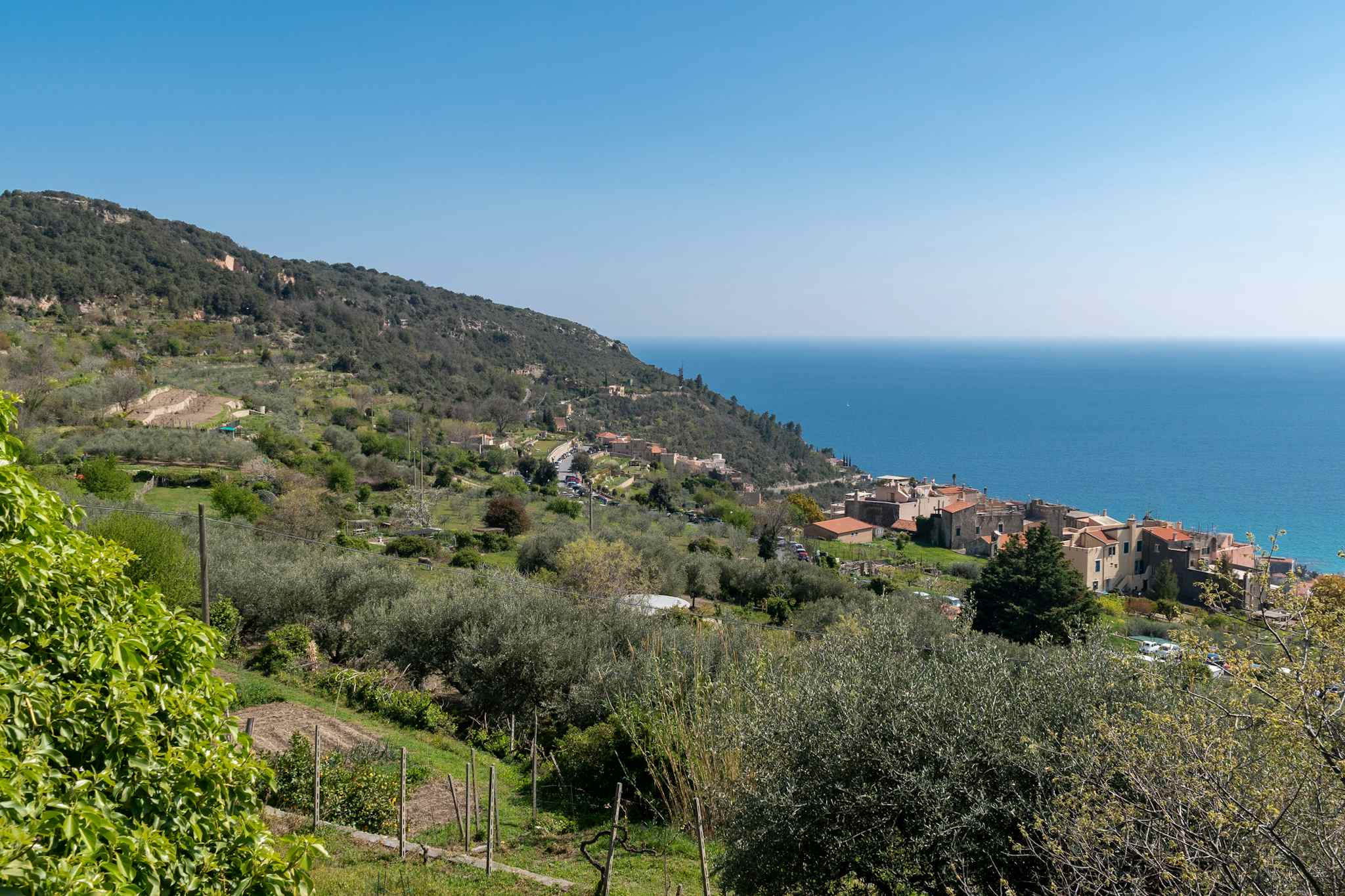 Elevated view of the medieval village of Borgio Verezzi with the sea in the background in spring, Savona, Liguria, Italy