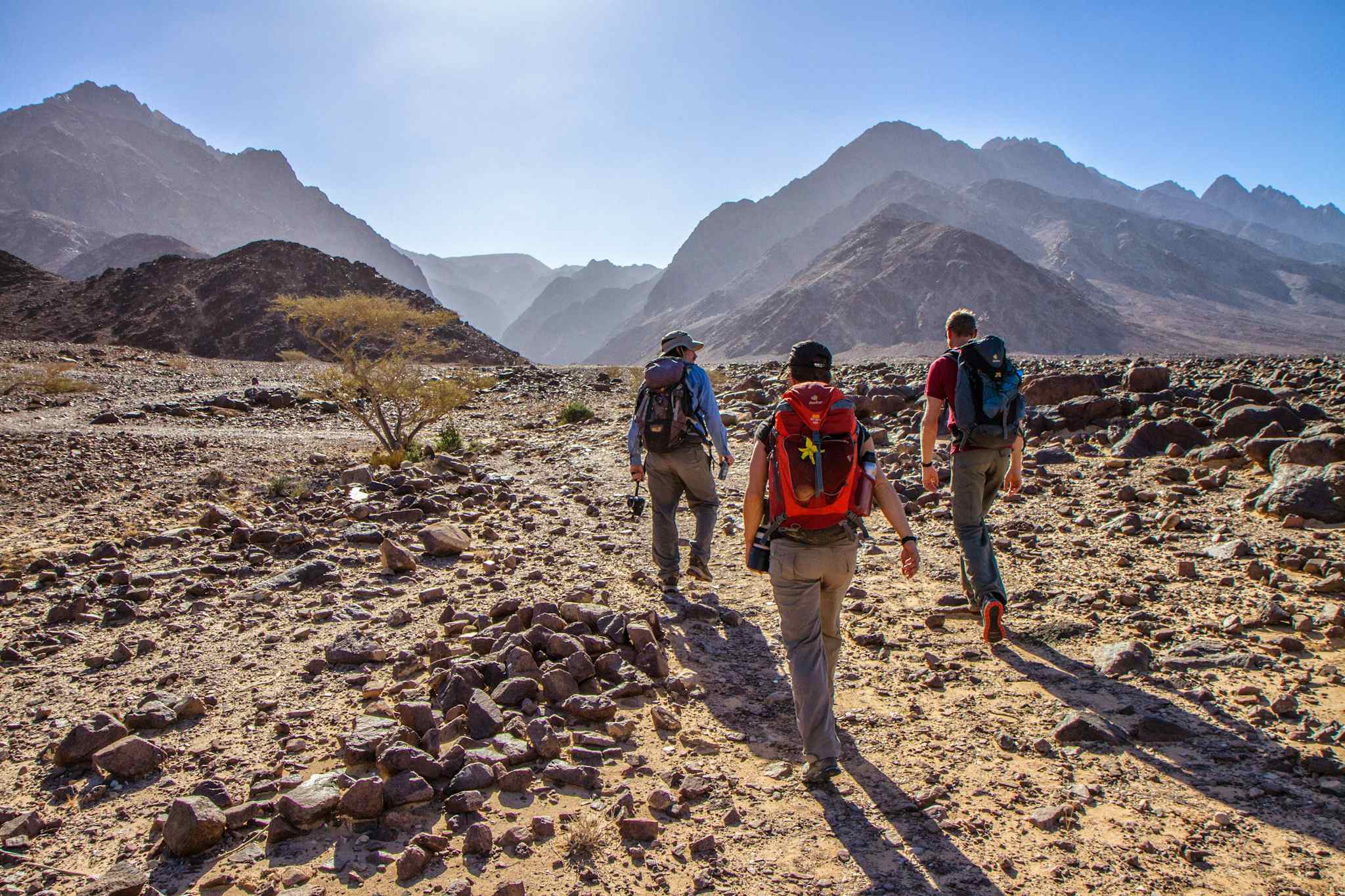 Desert Trek on the Jordan Trail
Host image - Experience Jordan / The Jordan Trail