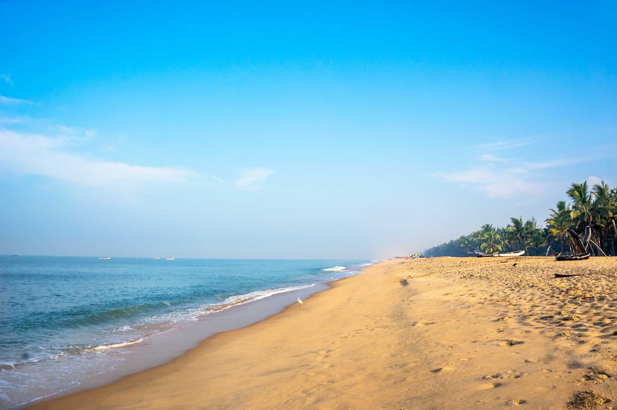 Golden sands along Marari Beach, Kerala, India.