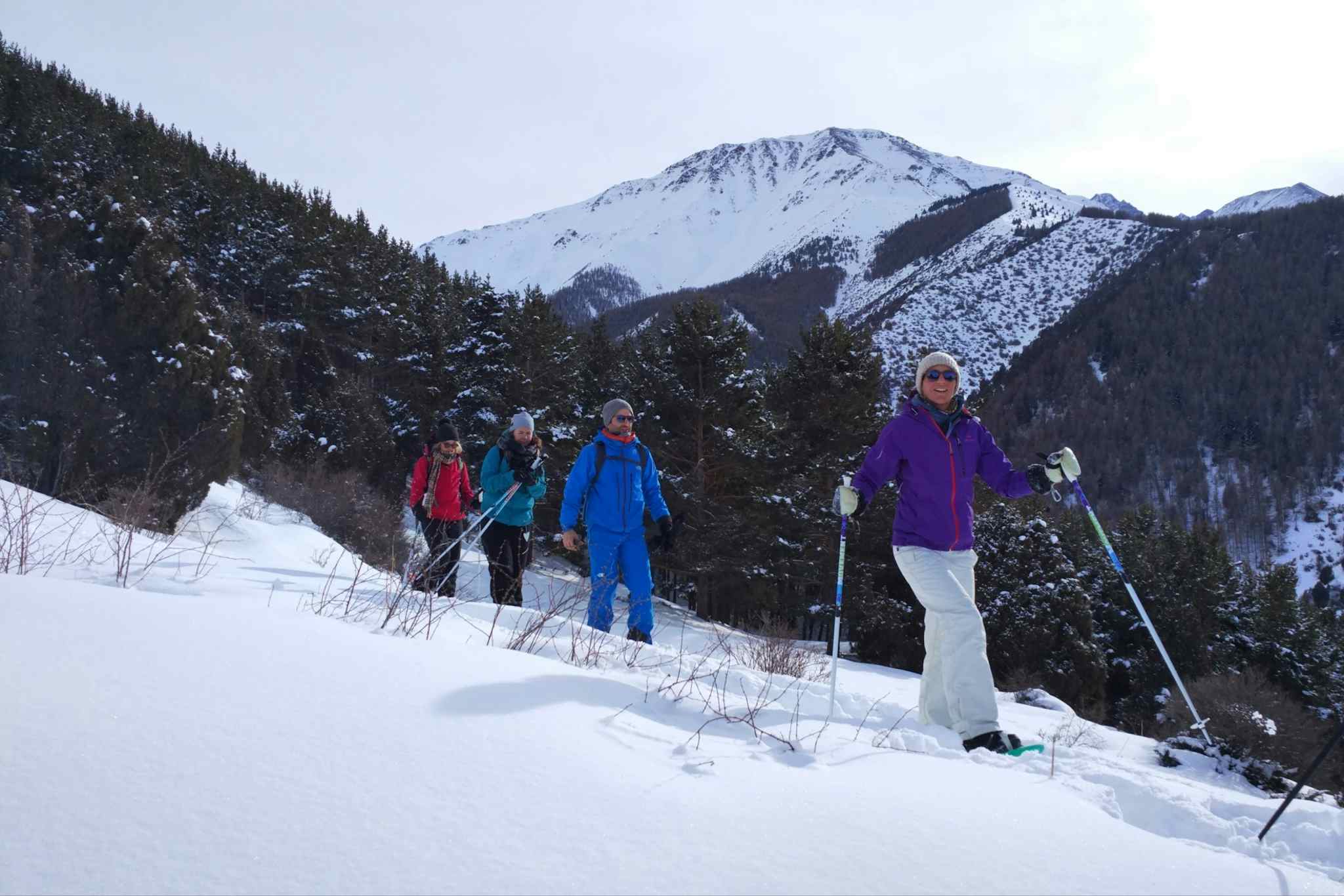Group of snowshoers descent a ridge through the forest in Kyrgyzstan with high mountains in the background
