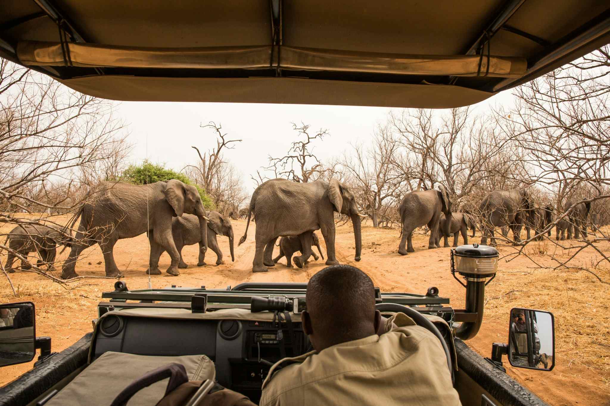 POV of a game drive in Chobe National Park, Botswana
