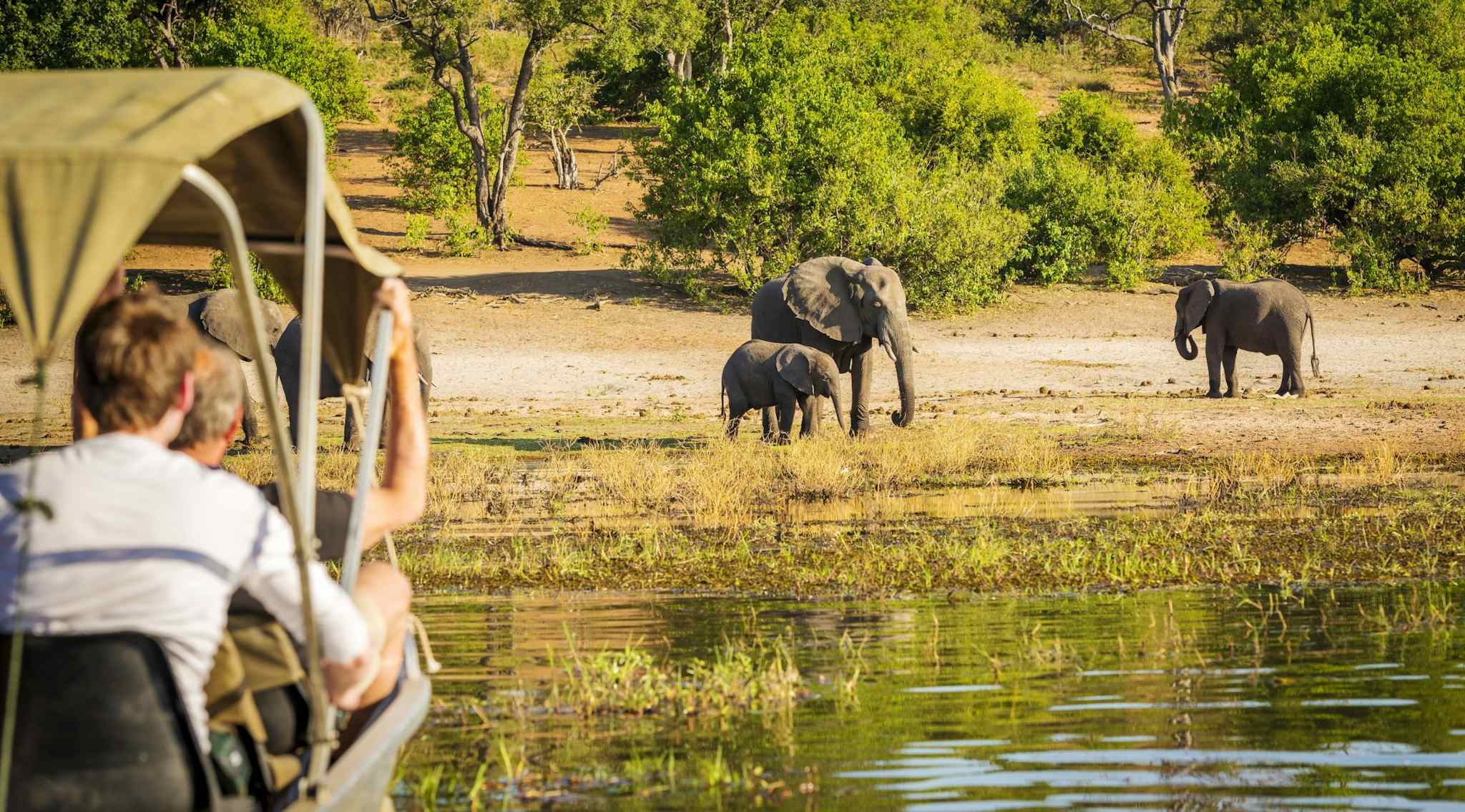 Safari goers on a Chobe River Cruise, Botswana
