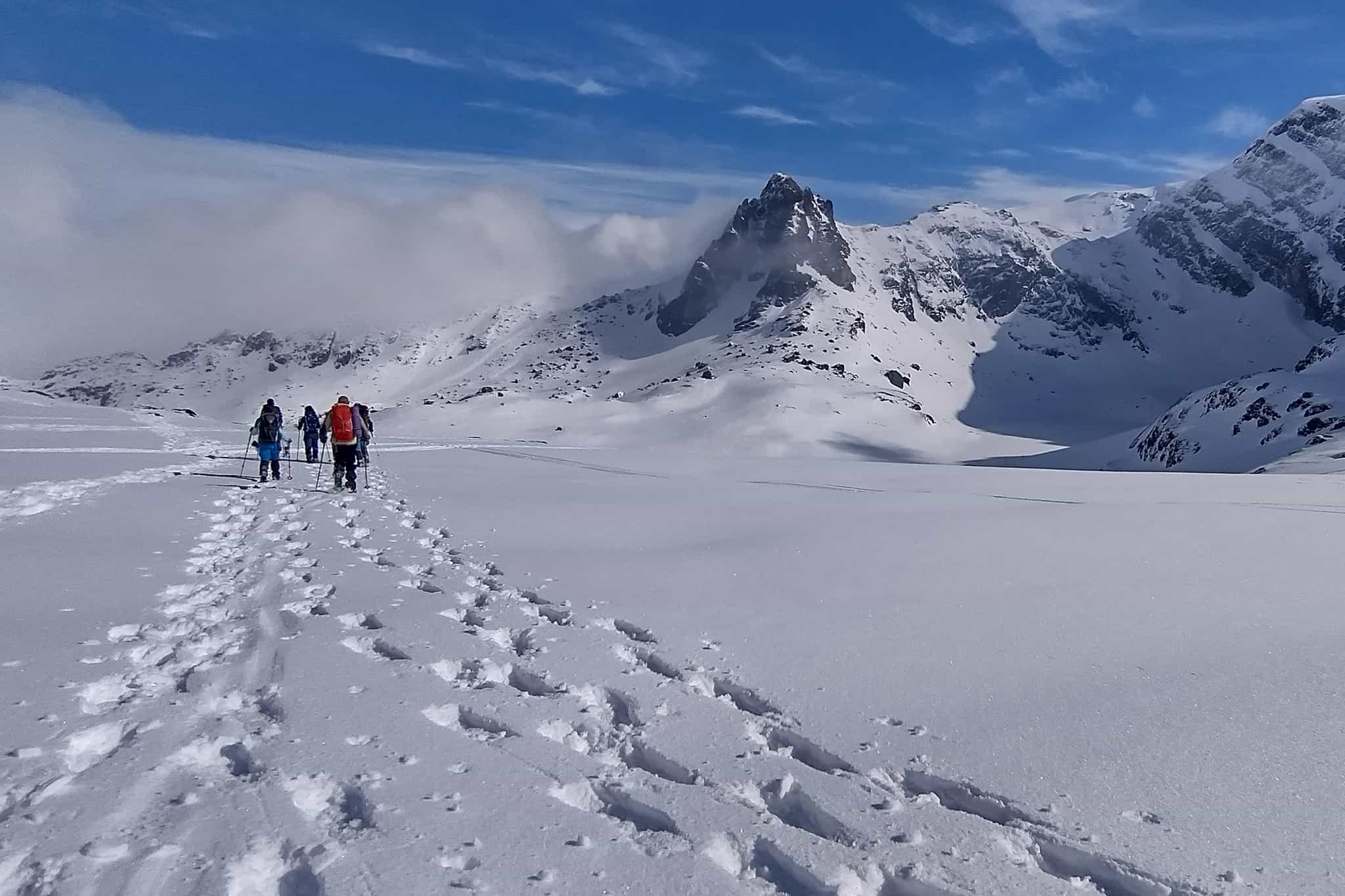 Group of snowshoers heading towards the snowy mountains