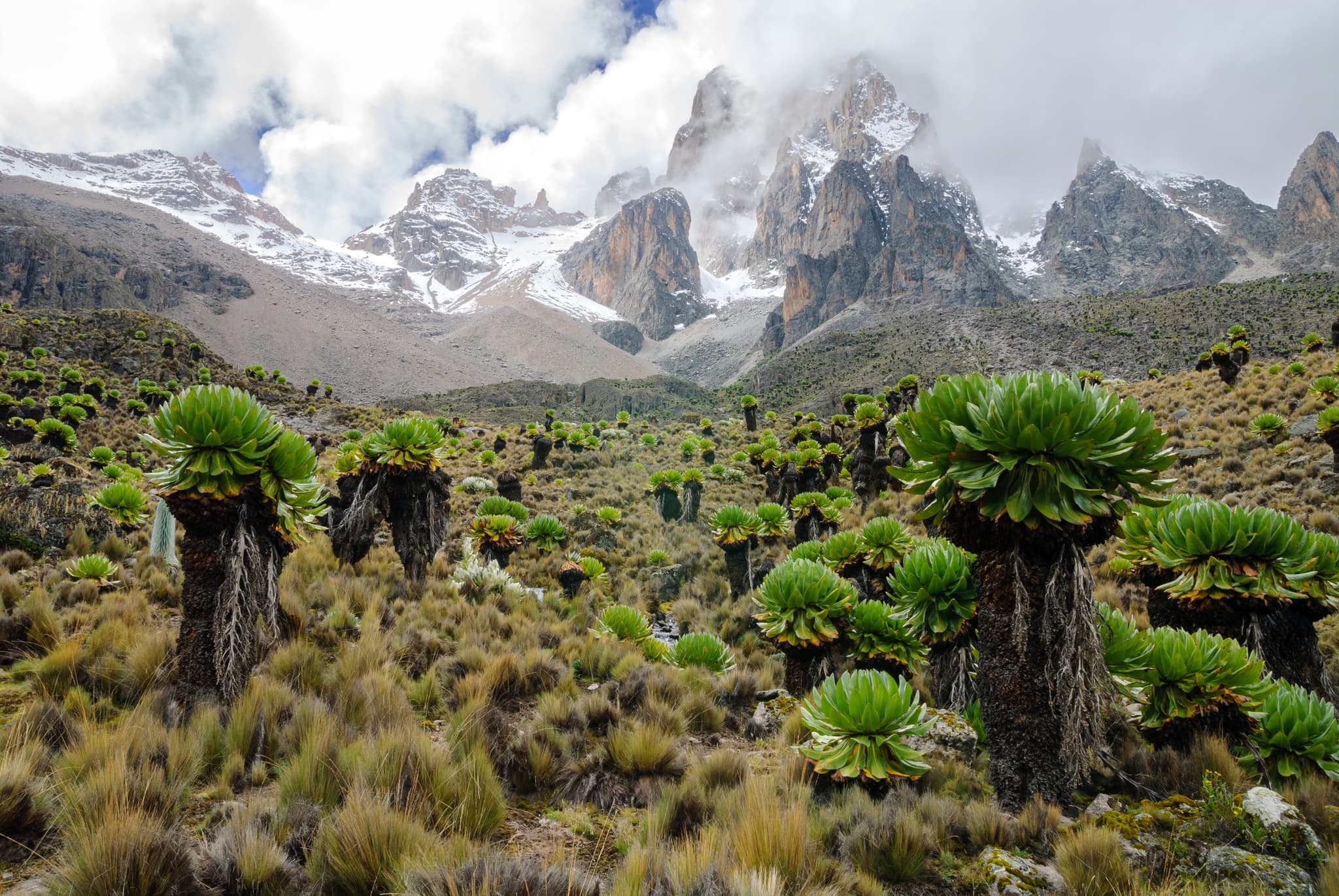 Climb Mount Kenya (4985m) and Go on Safari