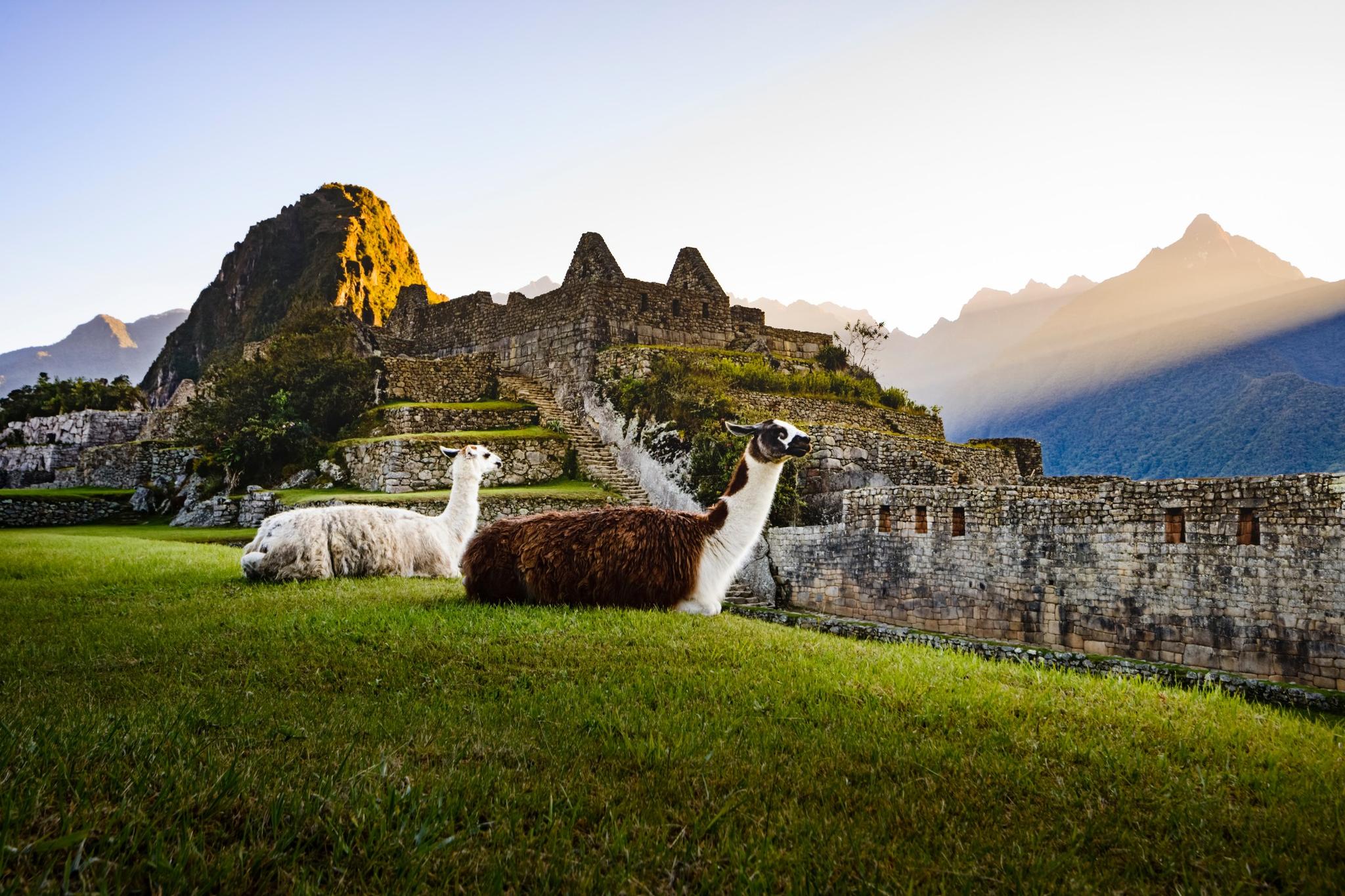 Trek Choquequirao to Machu Picchu