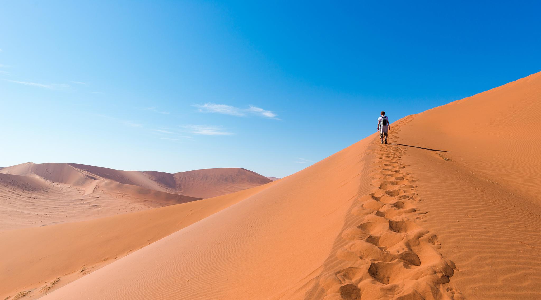 Hike, Safari and Stargaze in Namibia