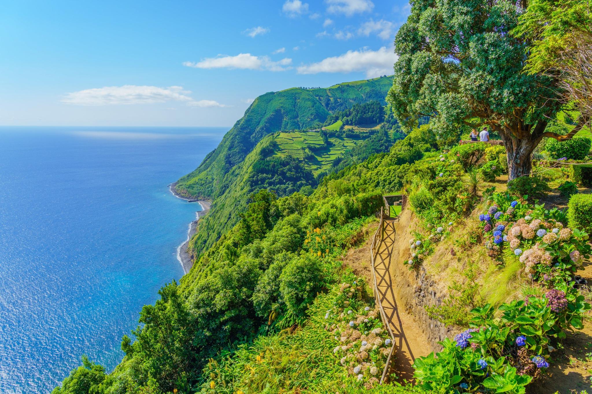 Wild Island Adventure in the Azores