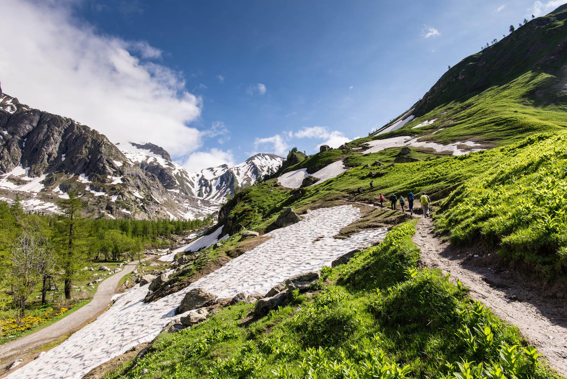 Trek the Tour du Mont Blanc | Much Better Adventures