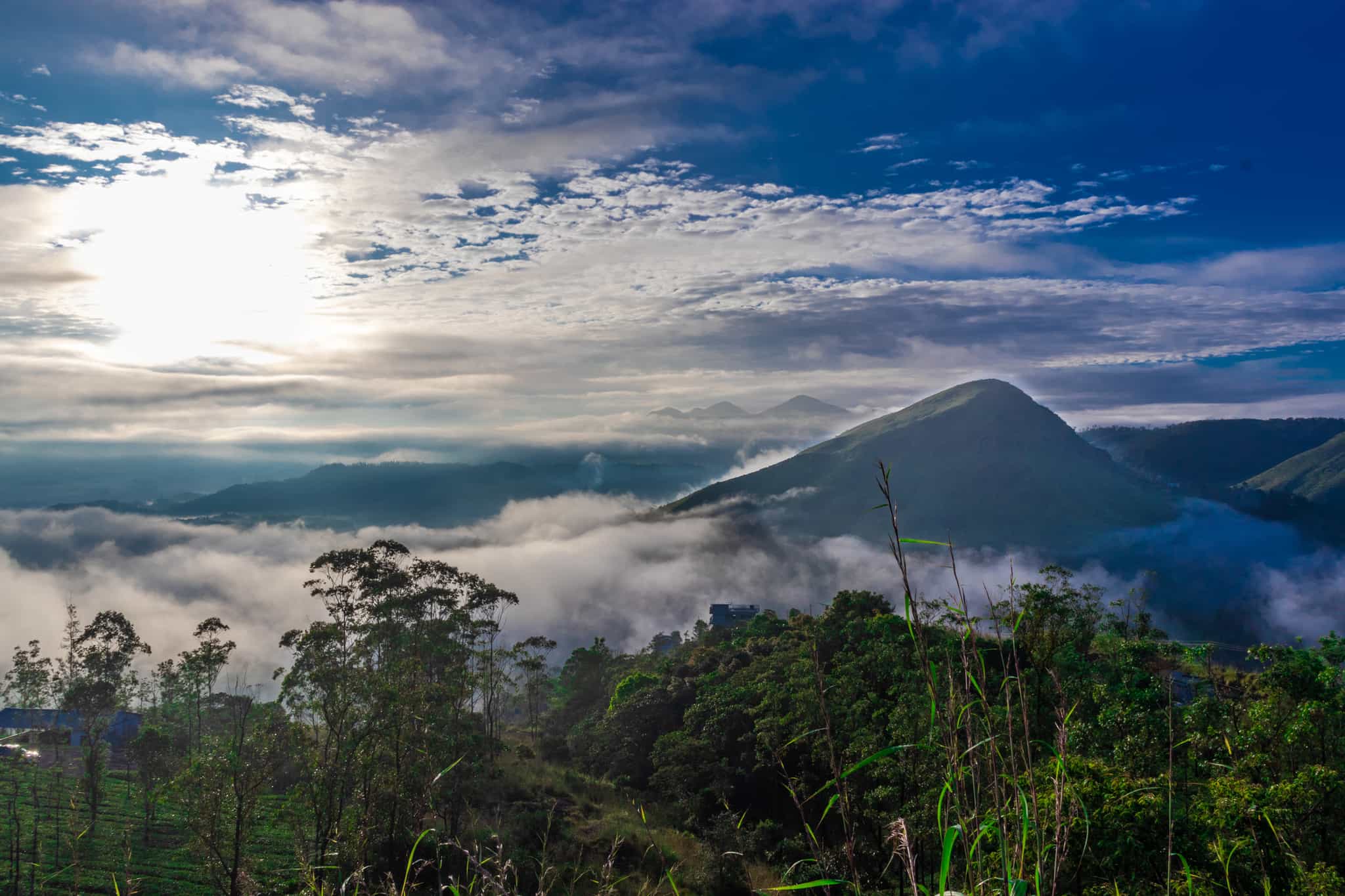 Cloud forest view from top of the hill in the Western Ghats, Kerala.