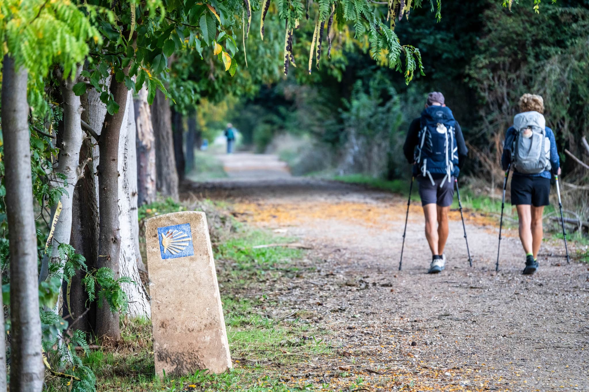 Hike the Camino de Santiago