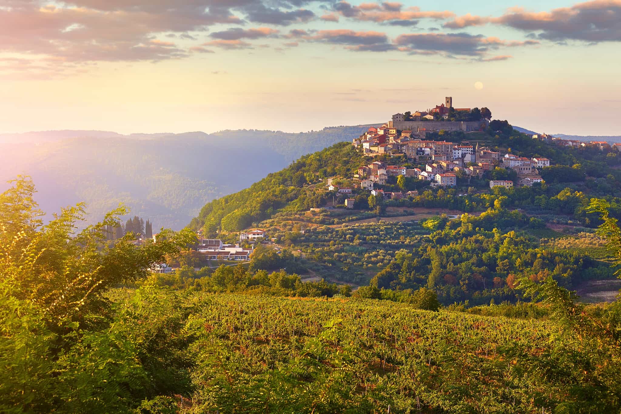 Medieval Motovun hilltop town above the green Croatian countryside