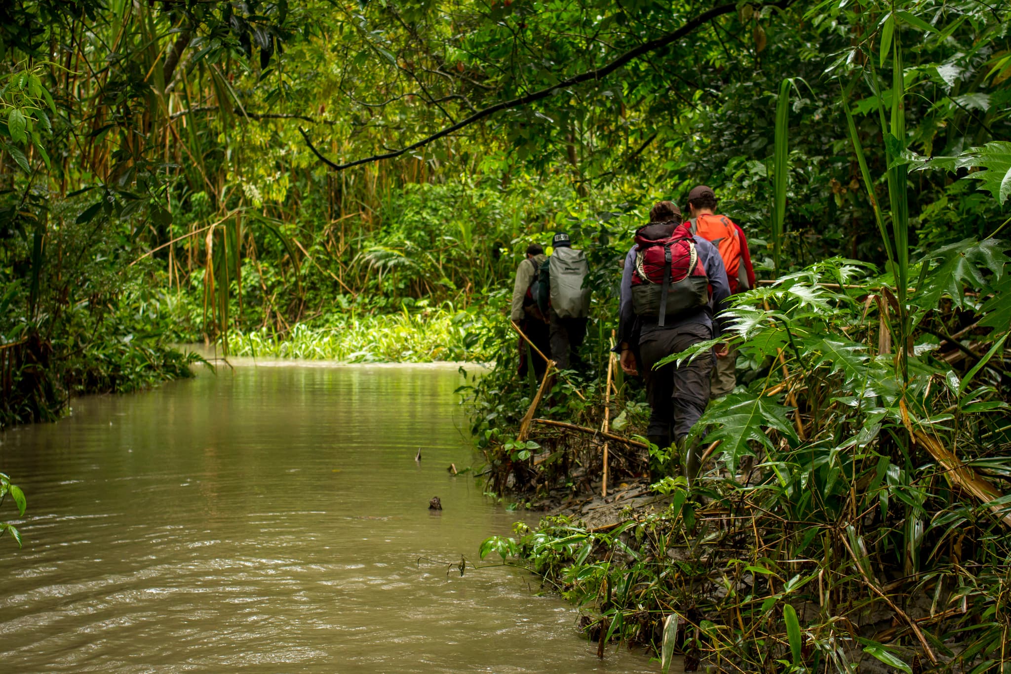 Wildlife Adventure in the Remote Peruvian Rainforest