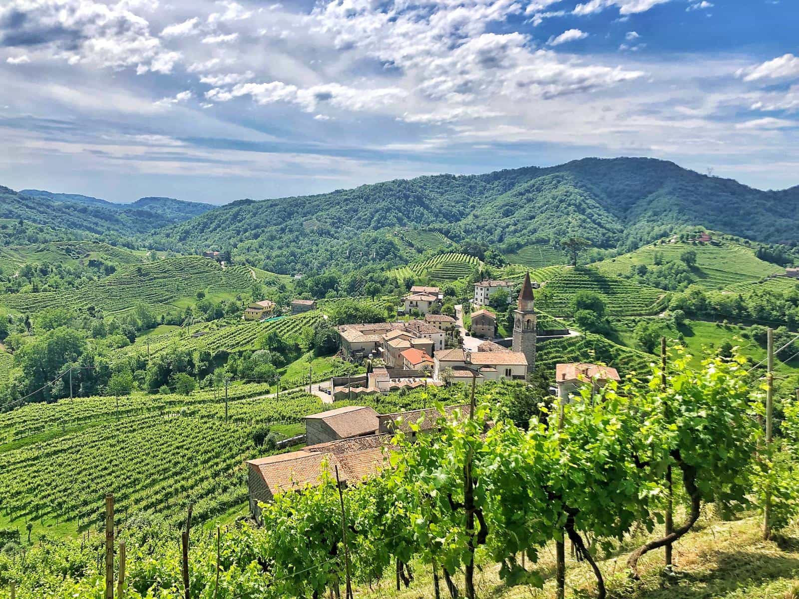 Prosecco Hills, Italy