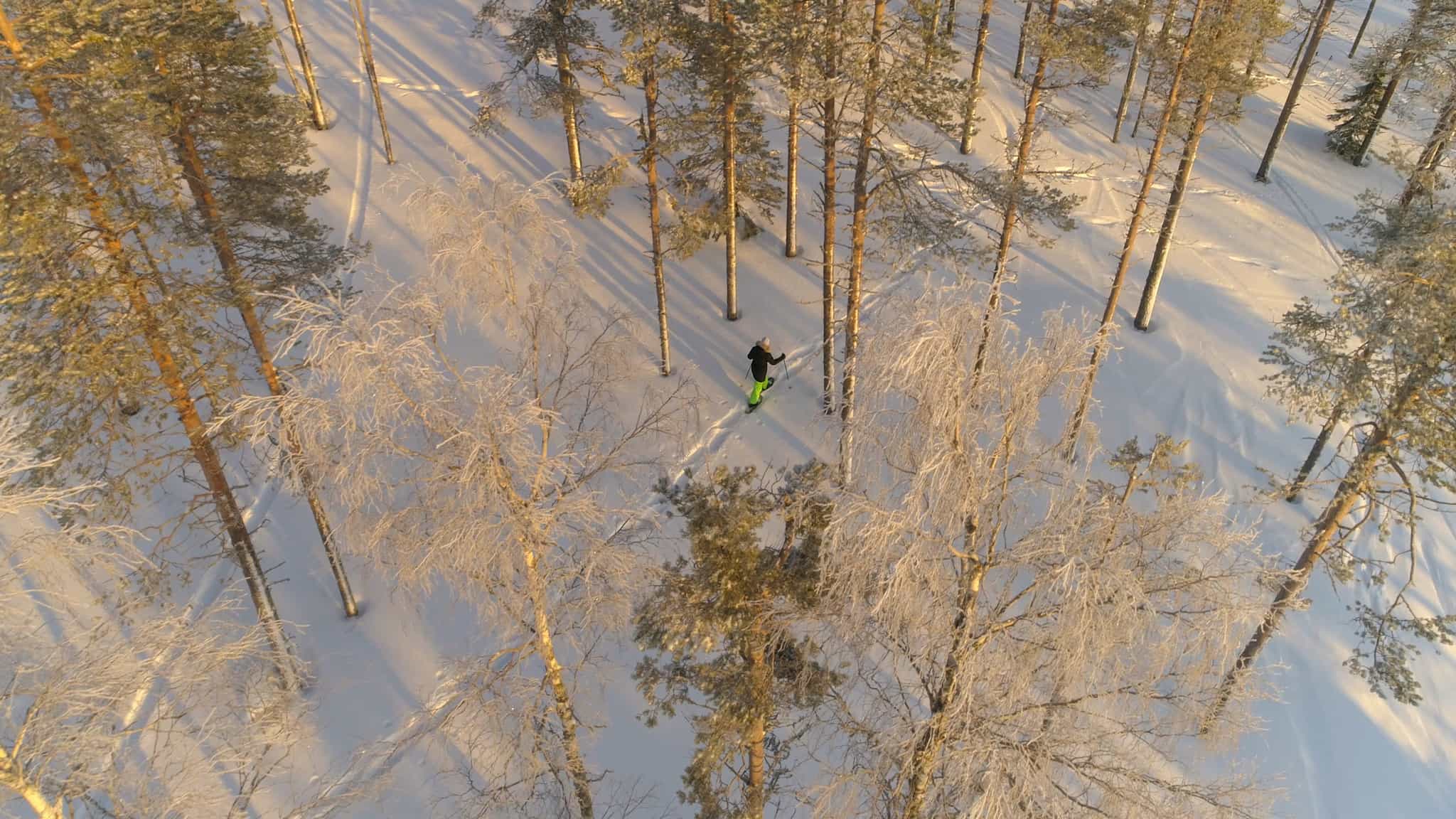Snowshoeing, Lapland. Photo: iStock-1071458886