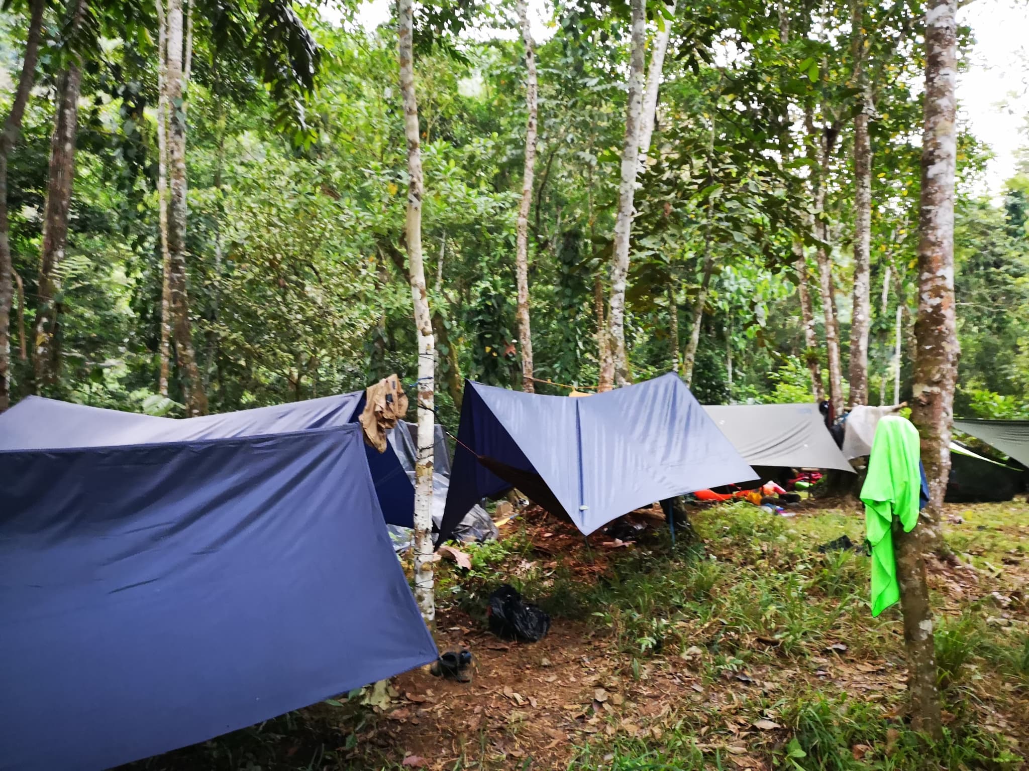Hammock camping in the jungle, Colombia.