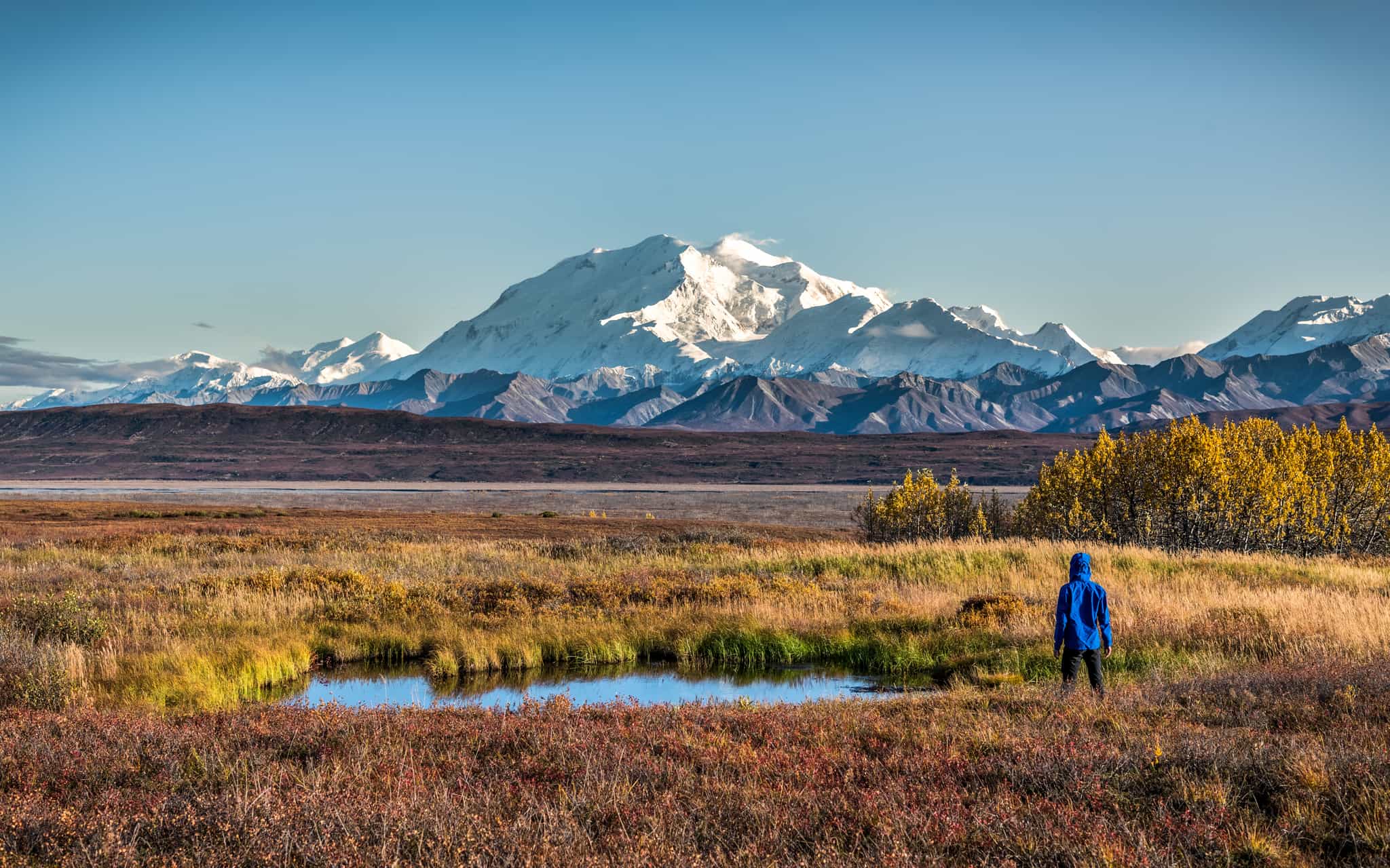 Hiking in Denali National Park, Alaska, USA
Shutterstock: 1887234592