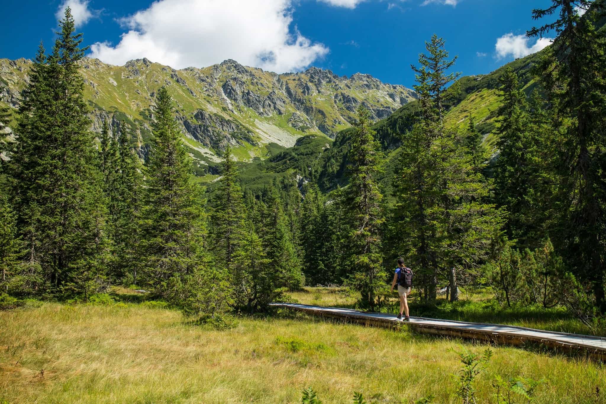Hiker on a trail, Slovakia. Photo: host // Slovakation