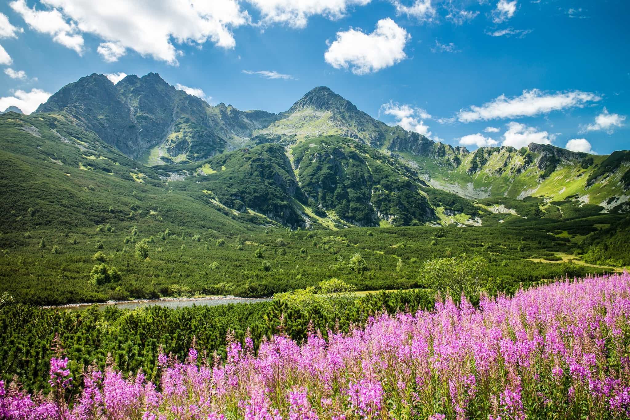 Tatra Mountains, Slovakia. Photo: Host // Slovakation