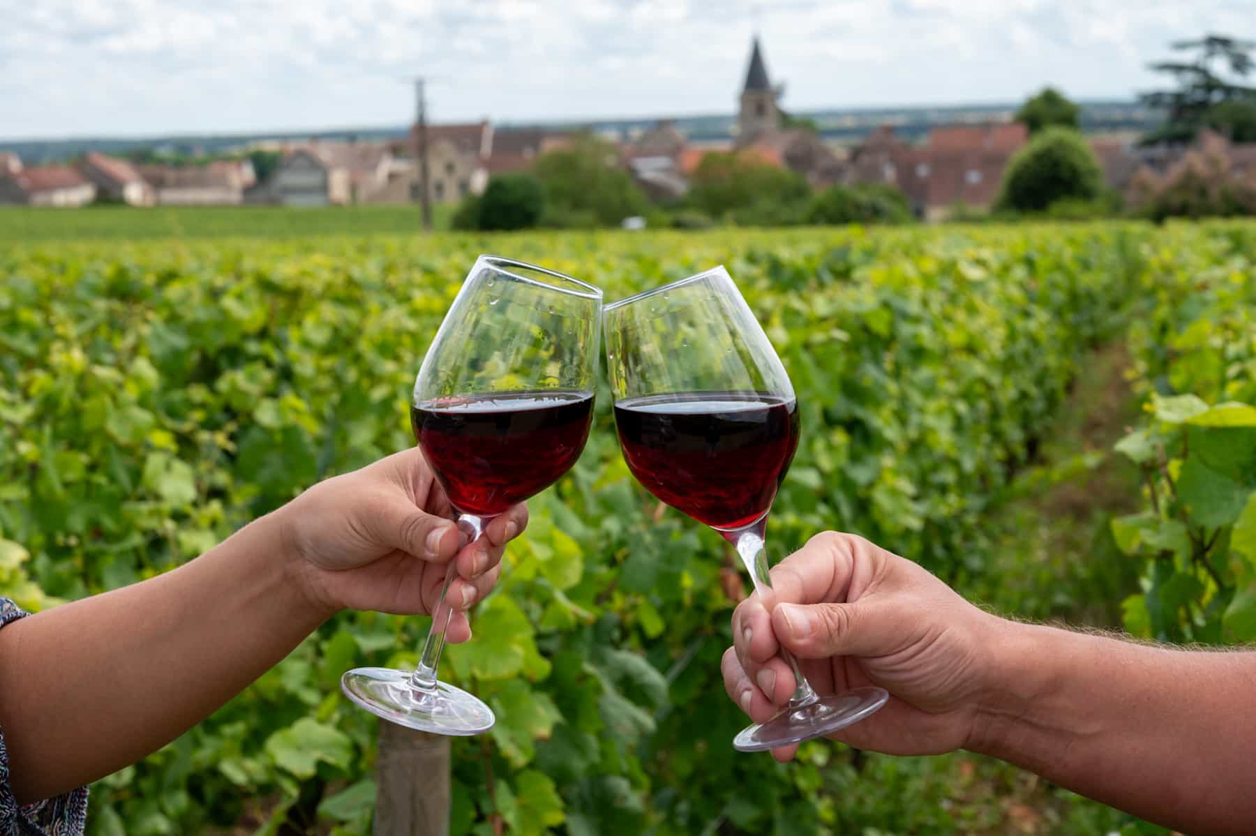 Burgundy, wine tasting Photo: shutterstock 2503128085