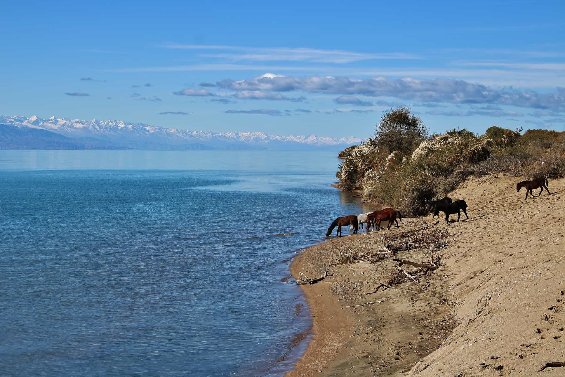 Issy Kul Lake, Tian Shan Mountains, Kyrgyzstan