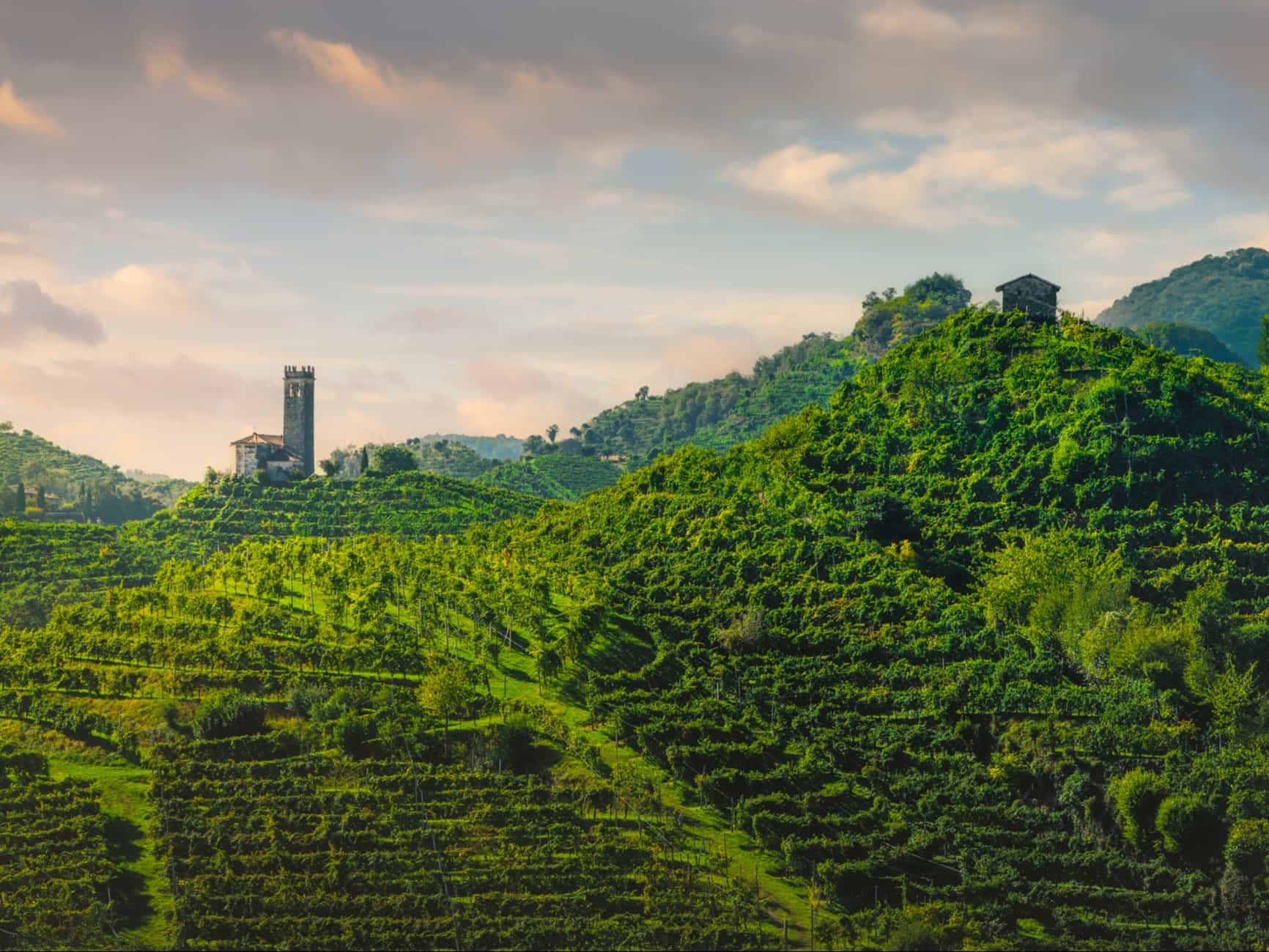 Prosecco Hills, Italy