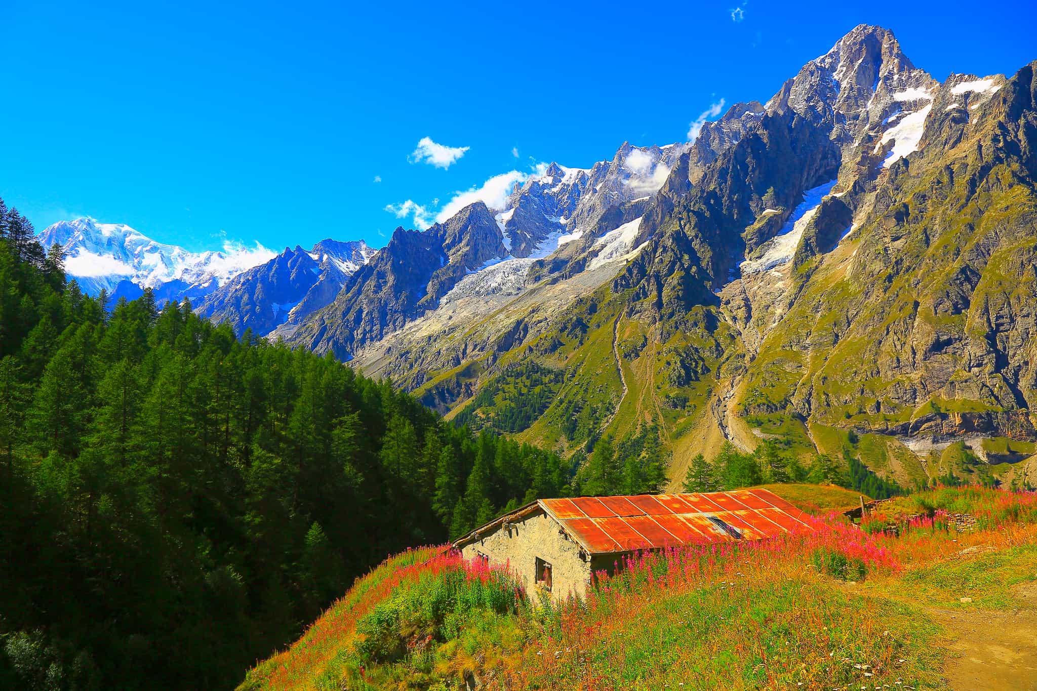 Mont Blanc and the Grandes Jorasses with an Alpine meadow landscape, Courmayeur, Italy