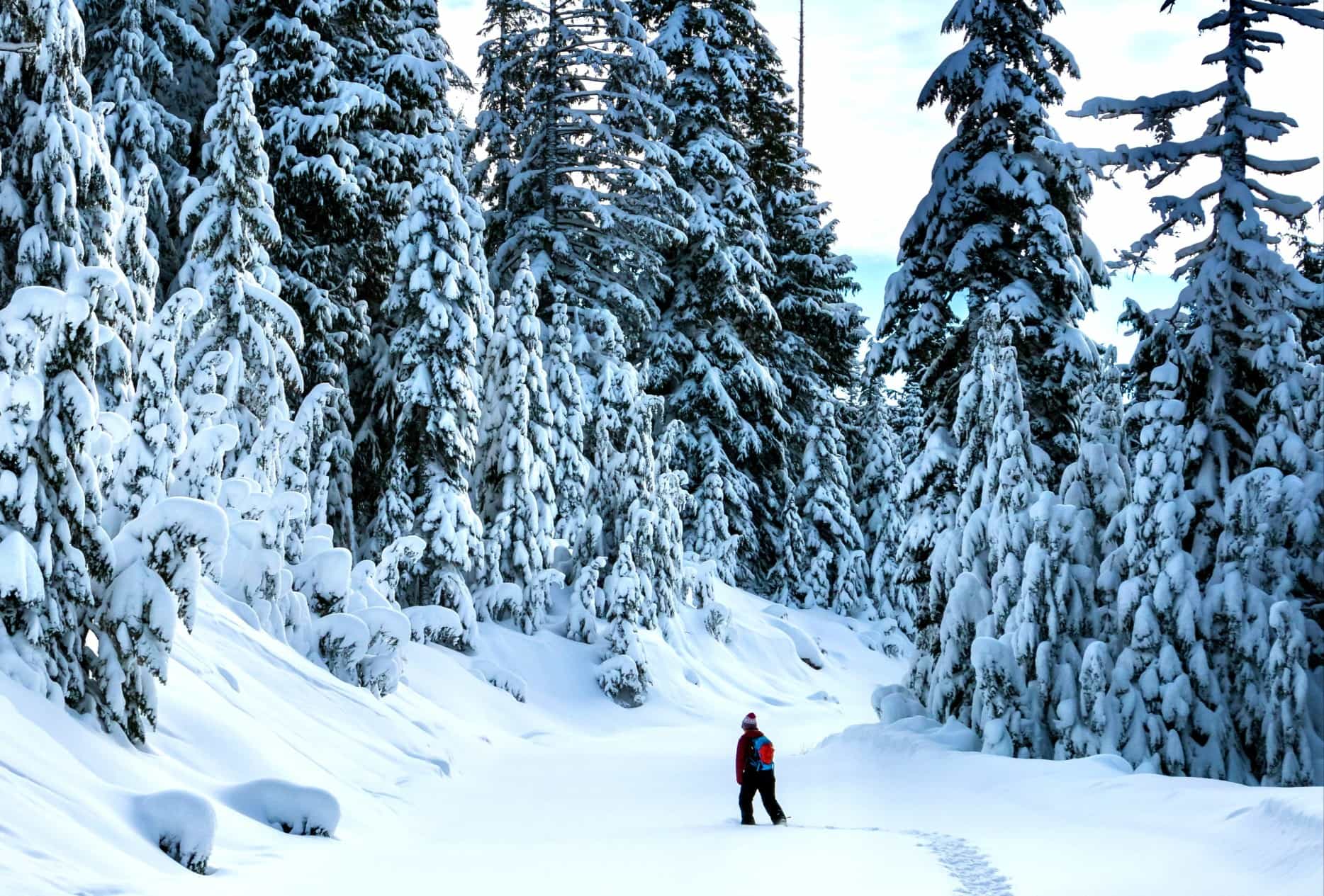 Snowshoer in the Dolomites in winter, Italy.