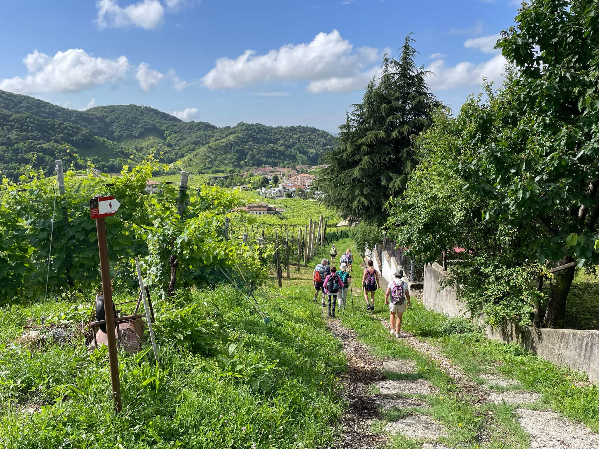 Hiking Prosecco Hills. Photo: Vania de Paoli, local guide