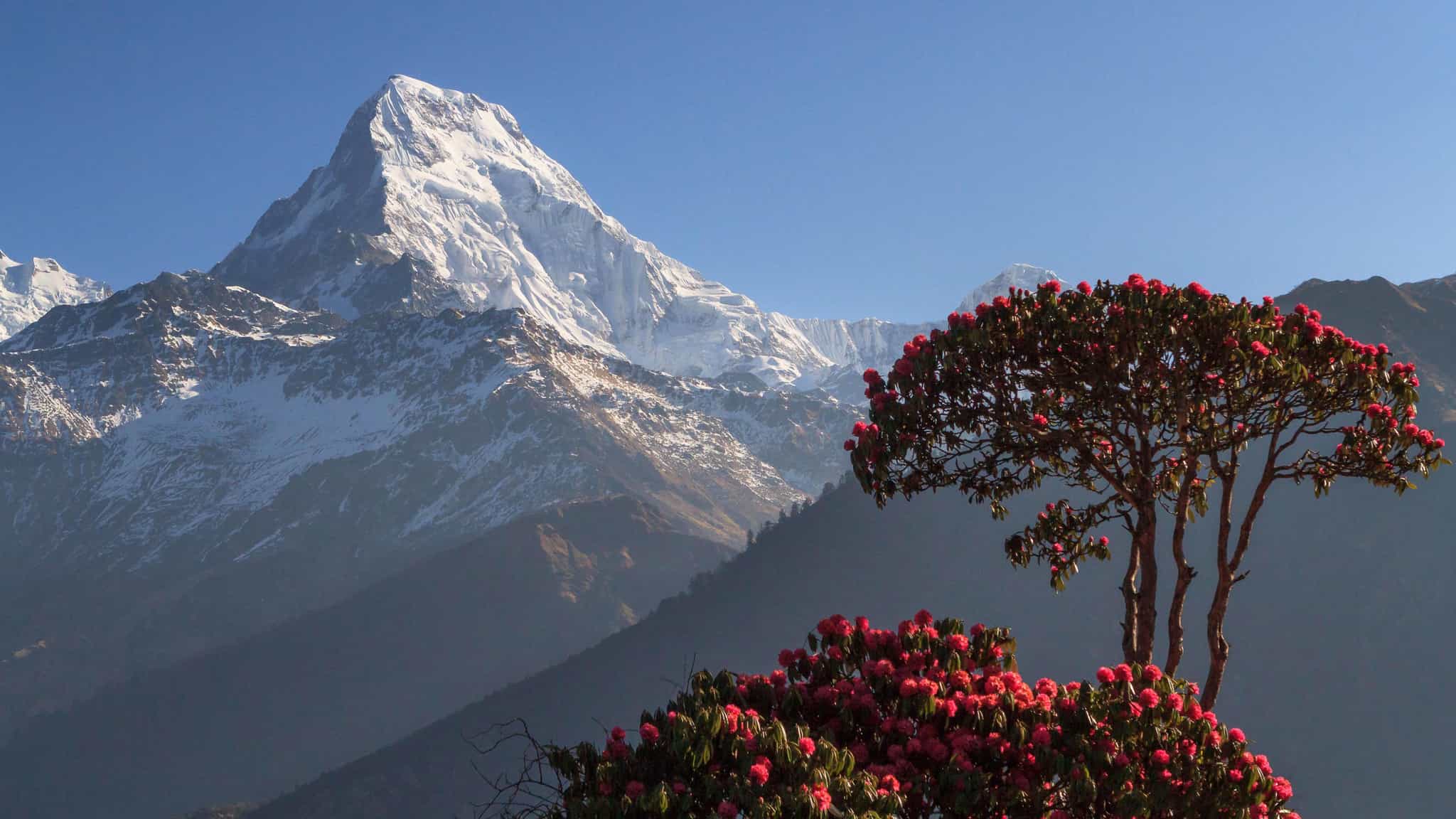 Poon Hill, Nepal.