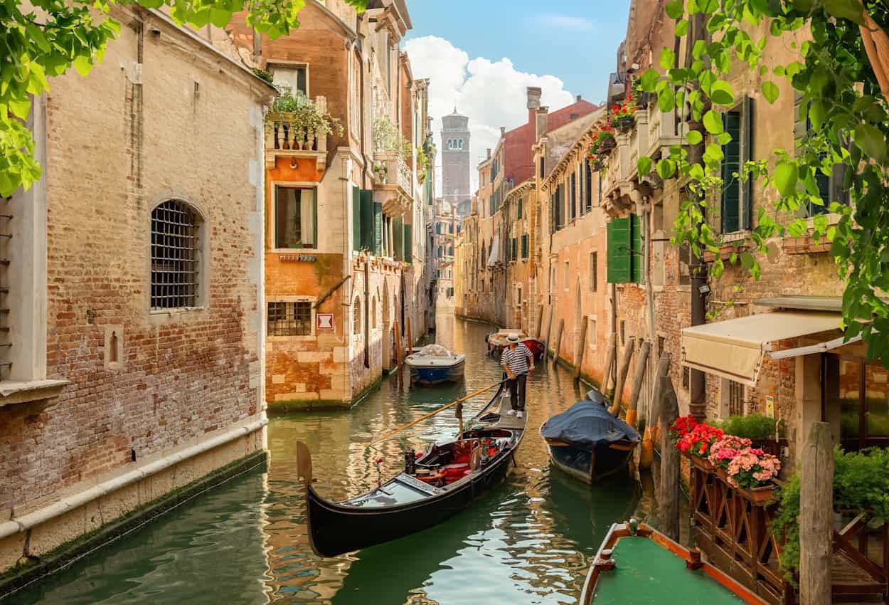 shutterstock 2421177327