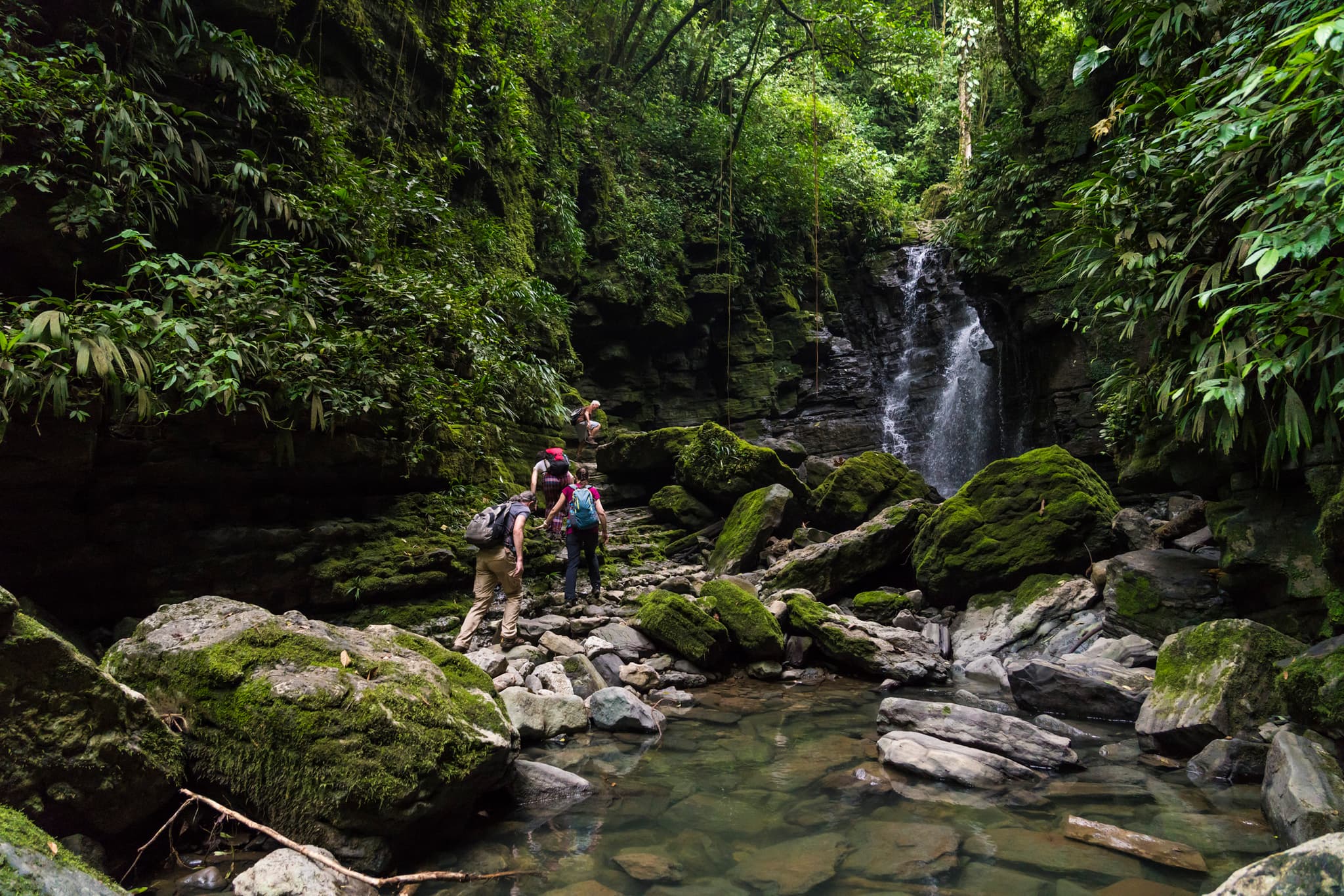 The Ultimate Andes to Amazon Adventure in Ecuador