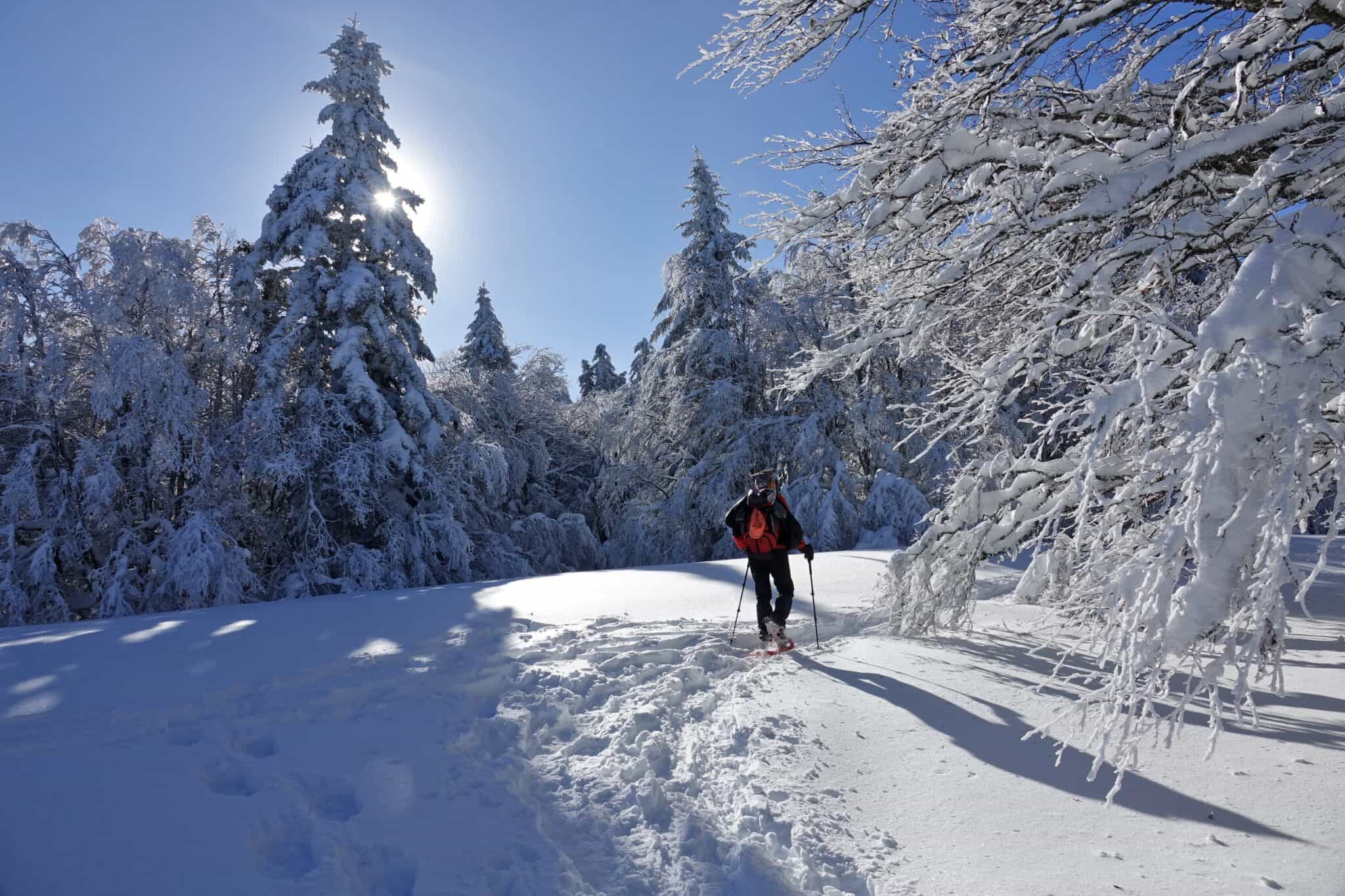 Snowshowing in the forests of Andraz, Dolomites