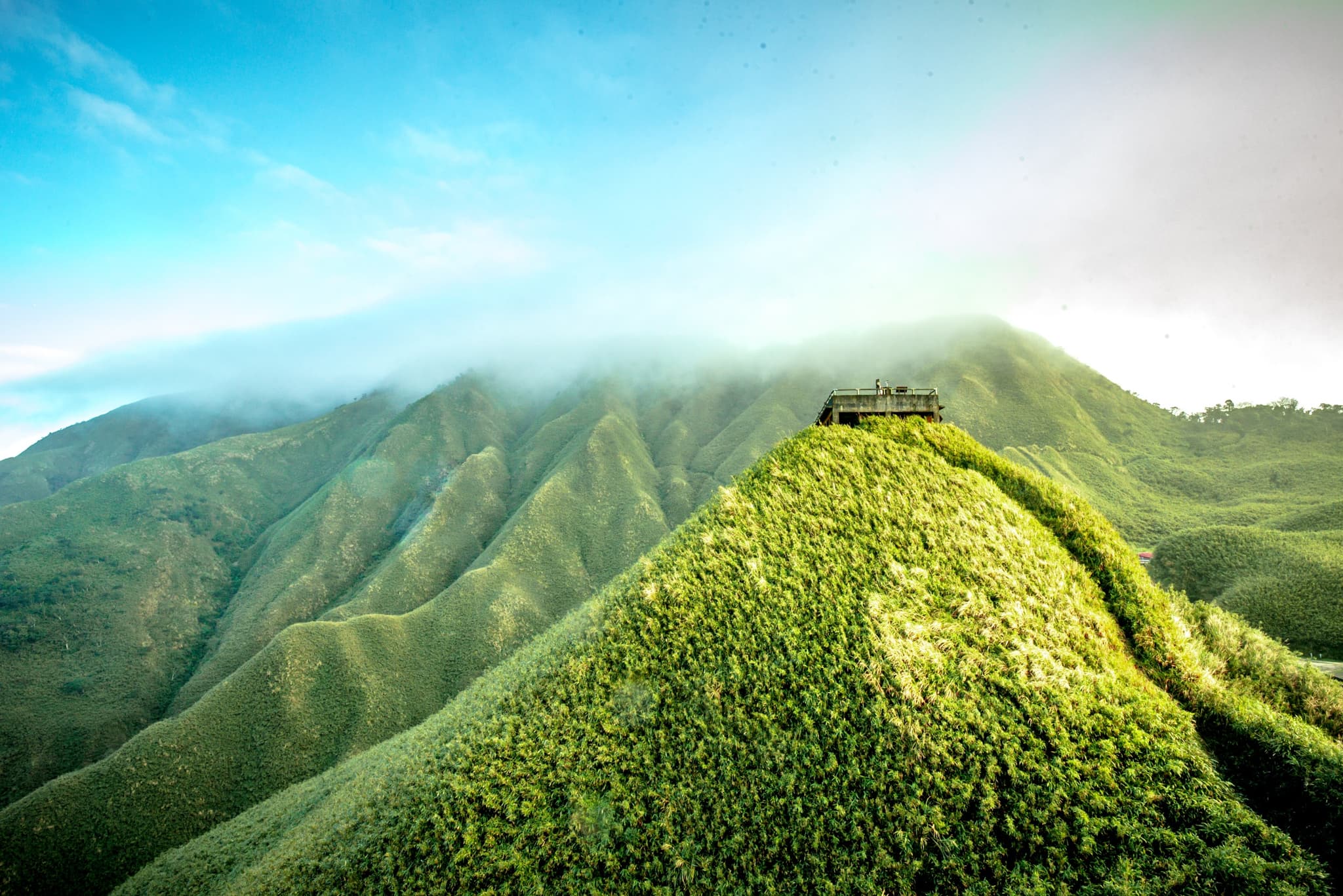 The Ultimate Adventure Through Wild Taiwan