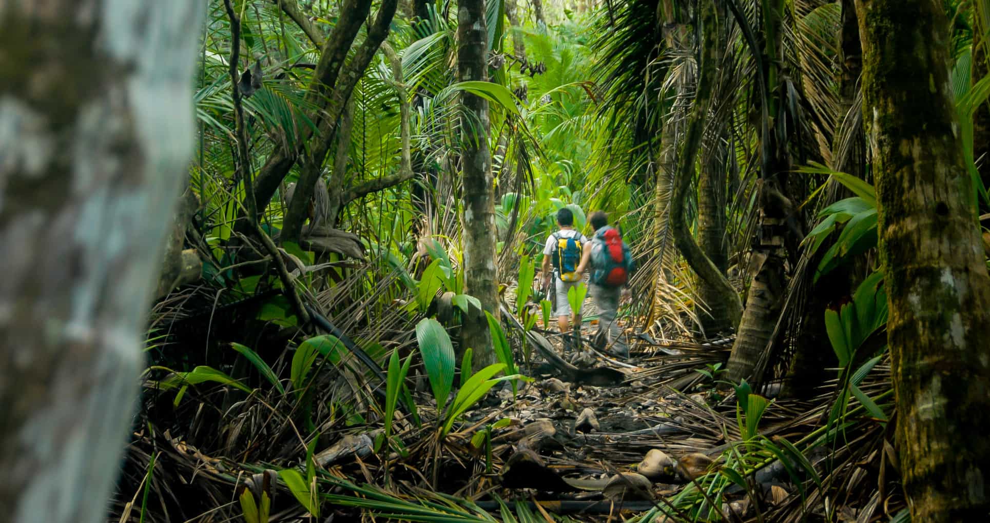 The Camino de Costa Rica Walking Trail