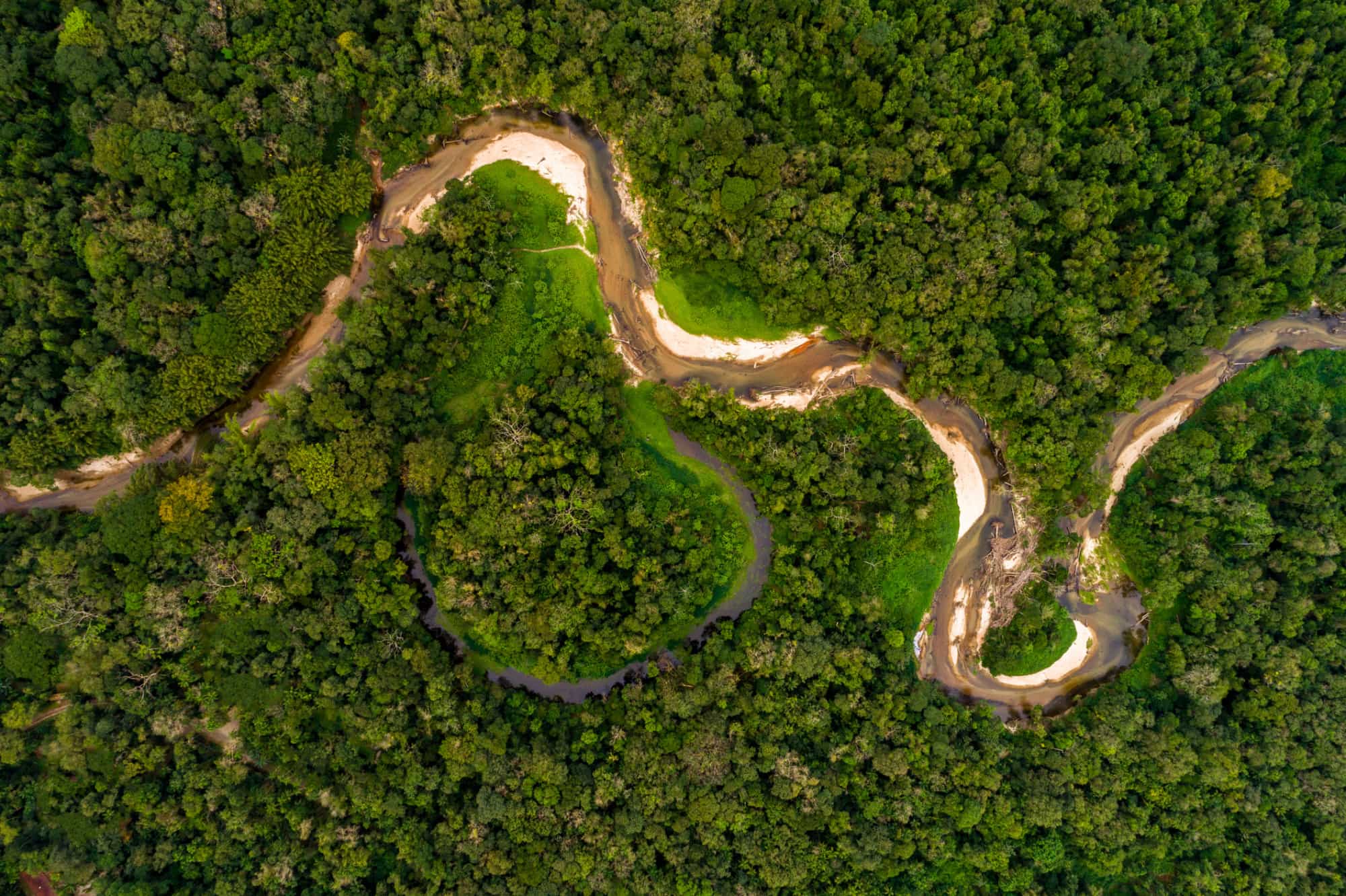 Aerial view of a river winding through the Amazon Rainforest