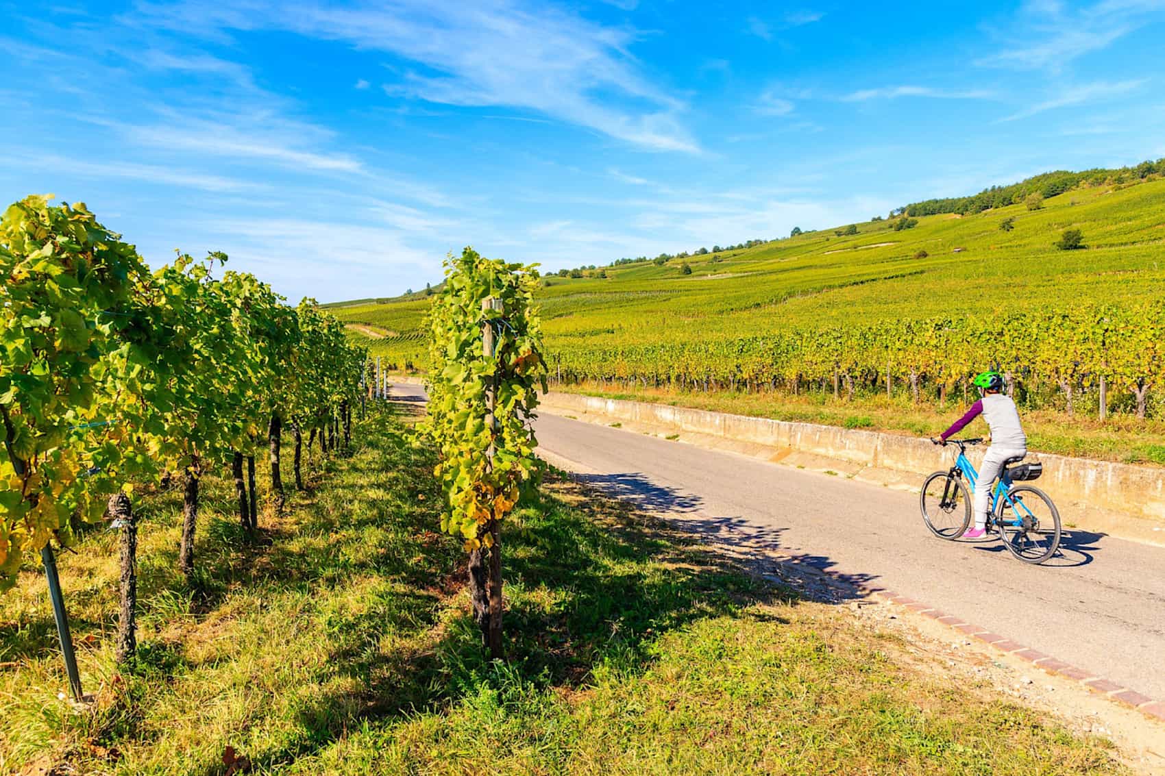 Cycle vineyard, France Photo:GettyImages-2188846414