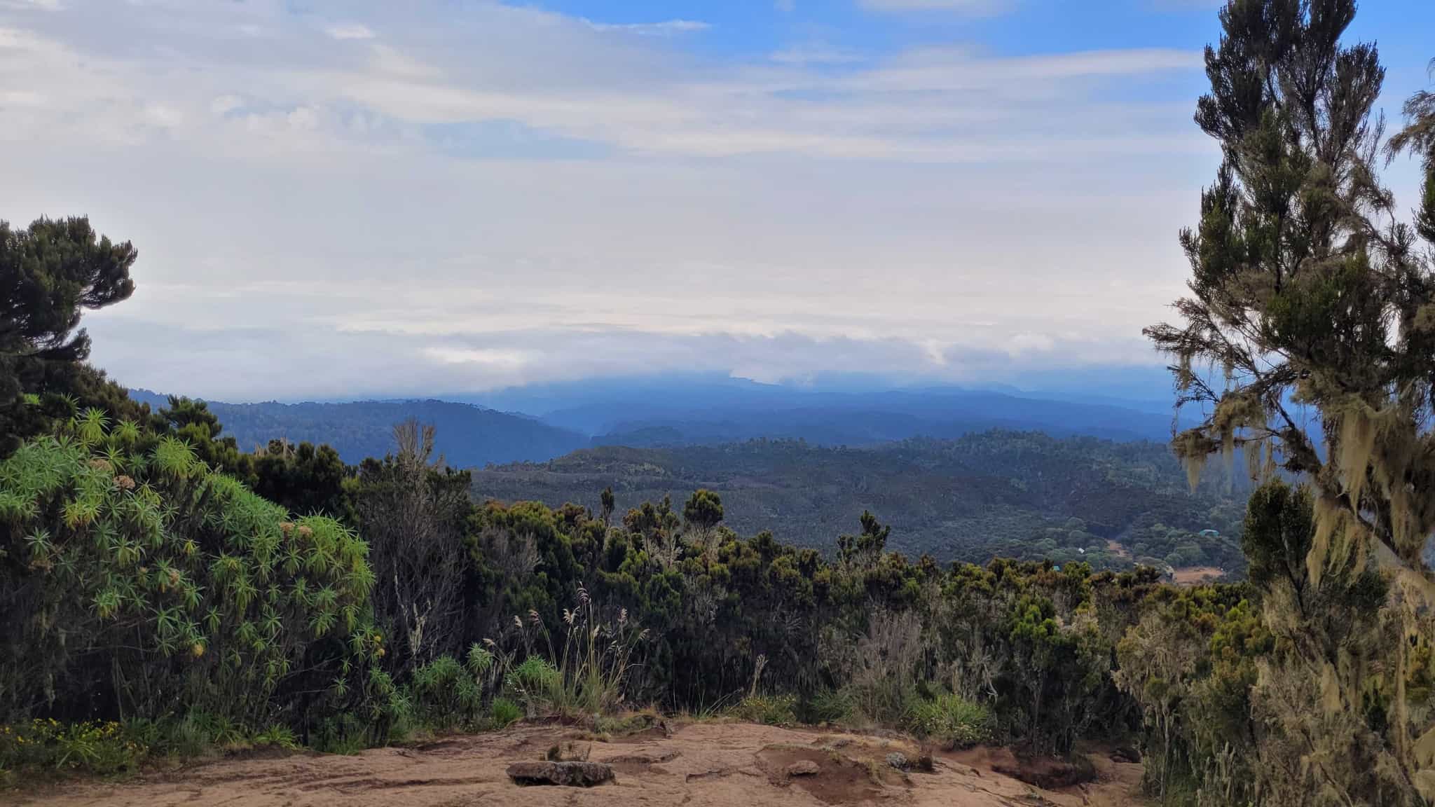 Views across the Tanzanian plains on the way to Shira Camp, Machame Route, Tanzania.