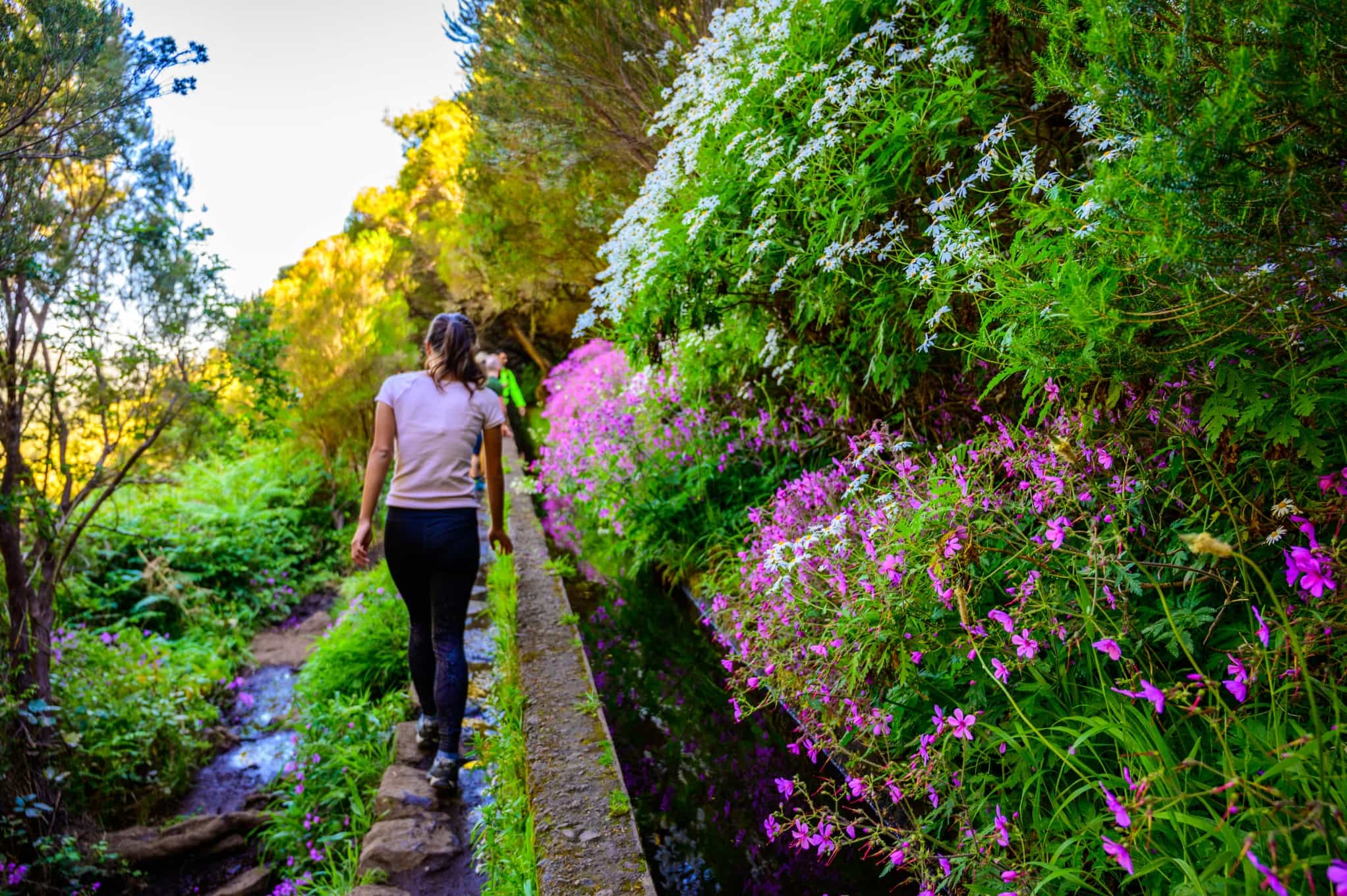 Woman hiking along the levada trails of Madeira, flanked by colourful flowers.