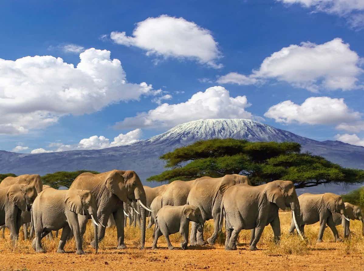 Which is the Best Route to Climb Kilimanjaro?
