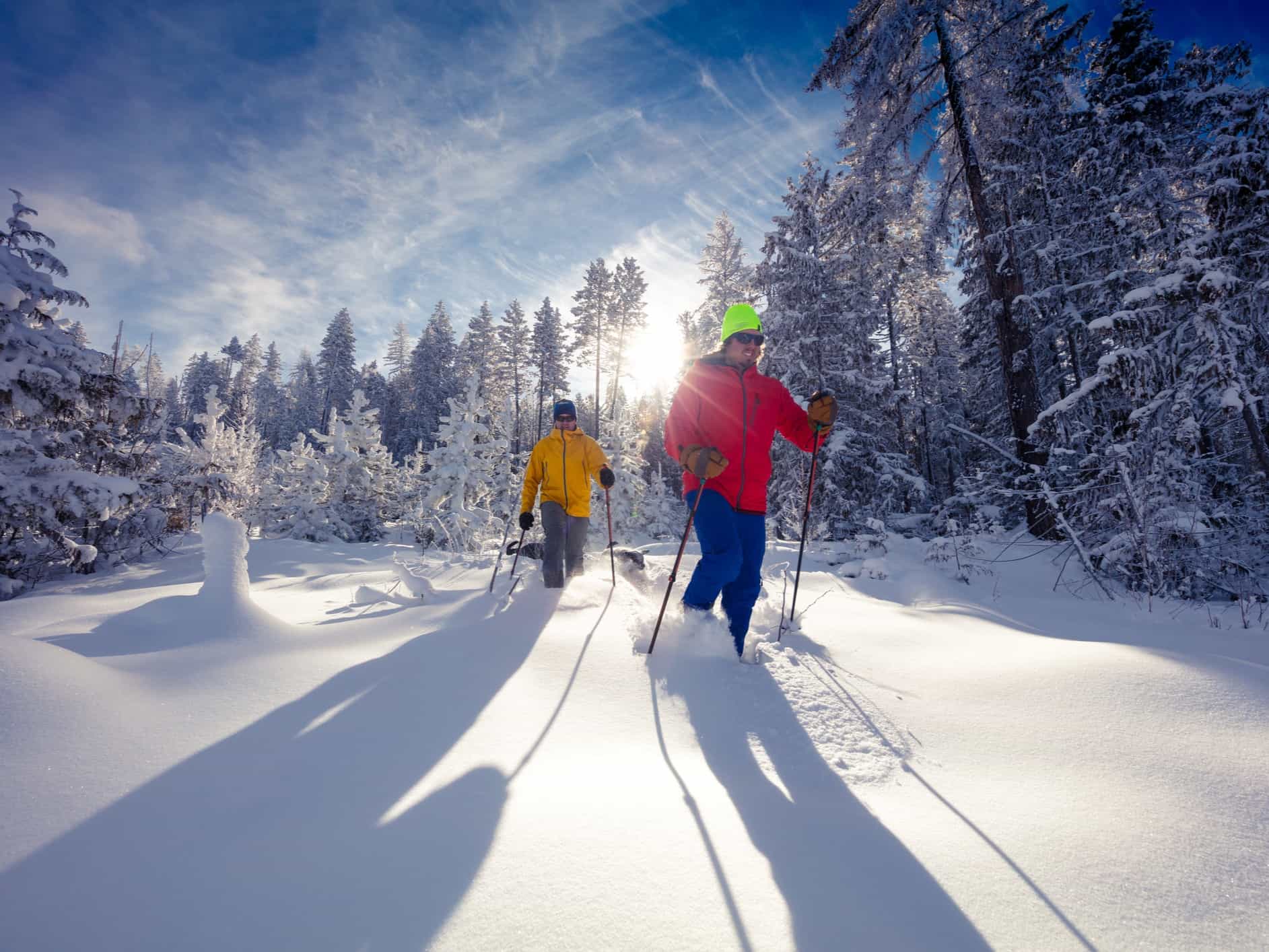 Two snowshoers crossing powder snow in the forest.