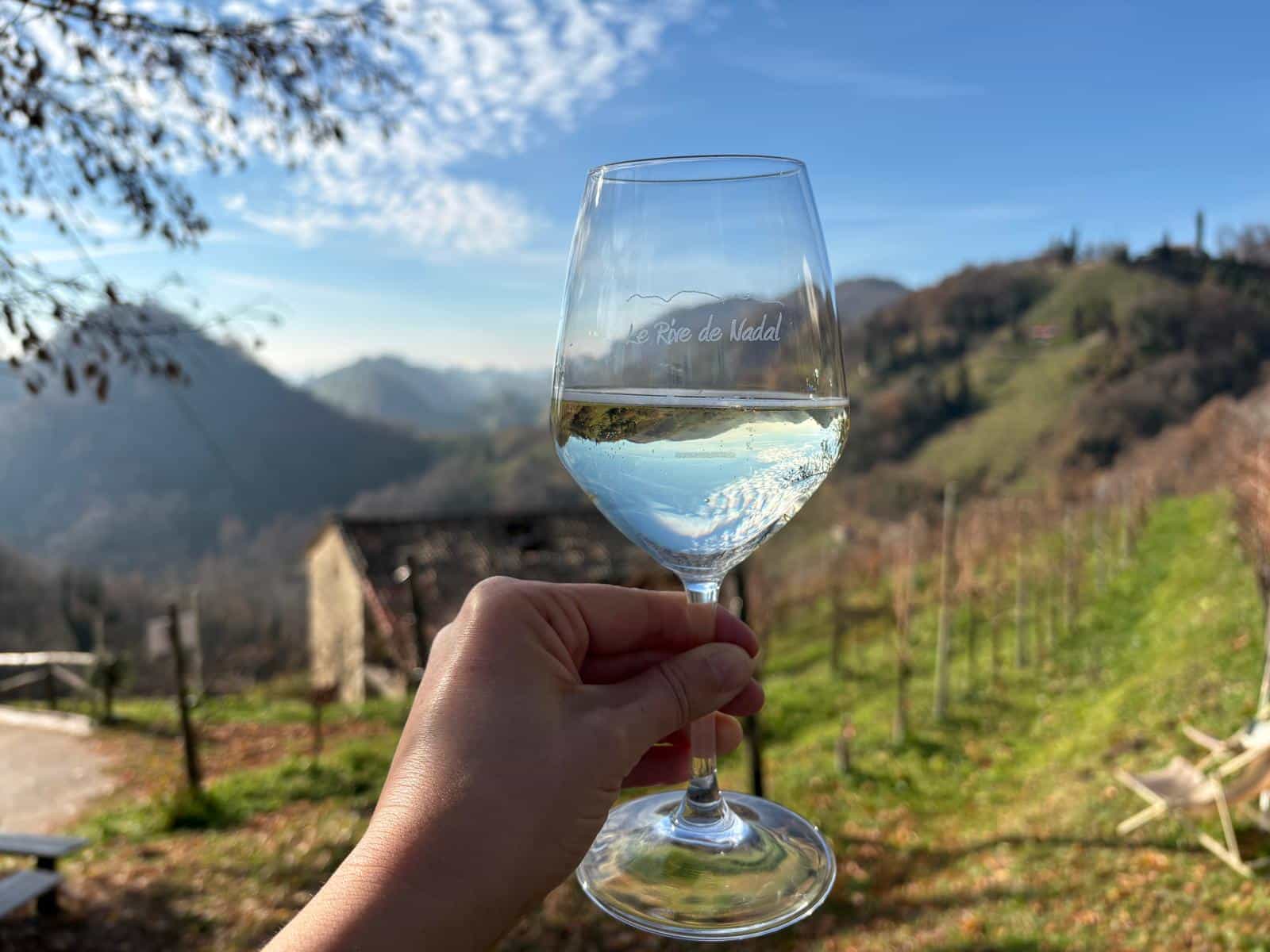 Wine glass and Prosecco Hills. Photo: Vania de Paoli, guide